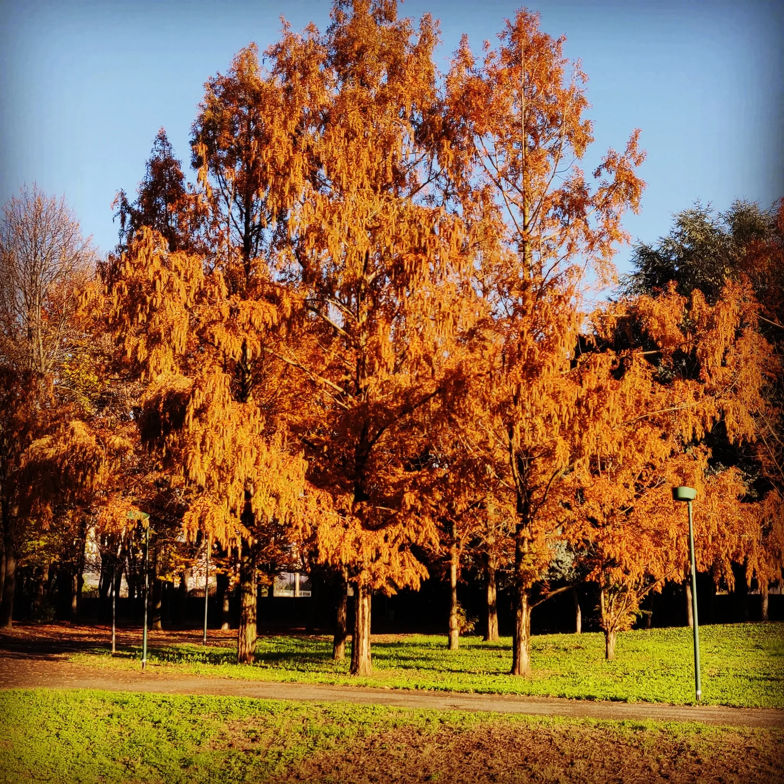 Interior at Parco di Villa Finzi Milan — travel photo