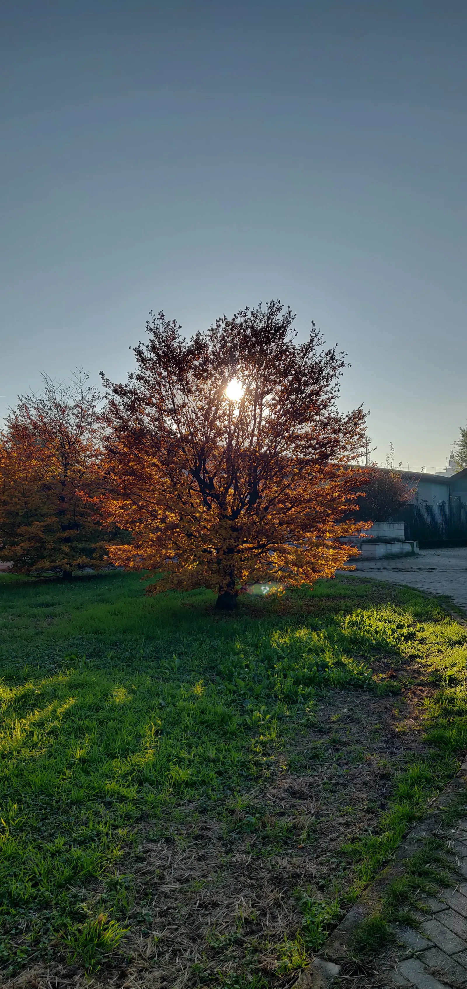 Atmosphere at Parco di Villa Finzi Milan — travel photo
