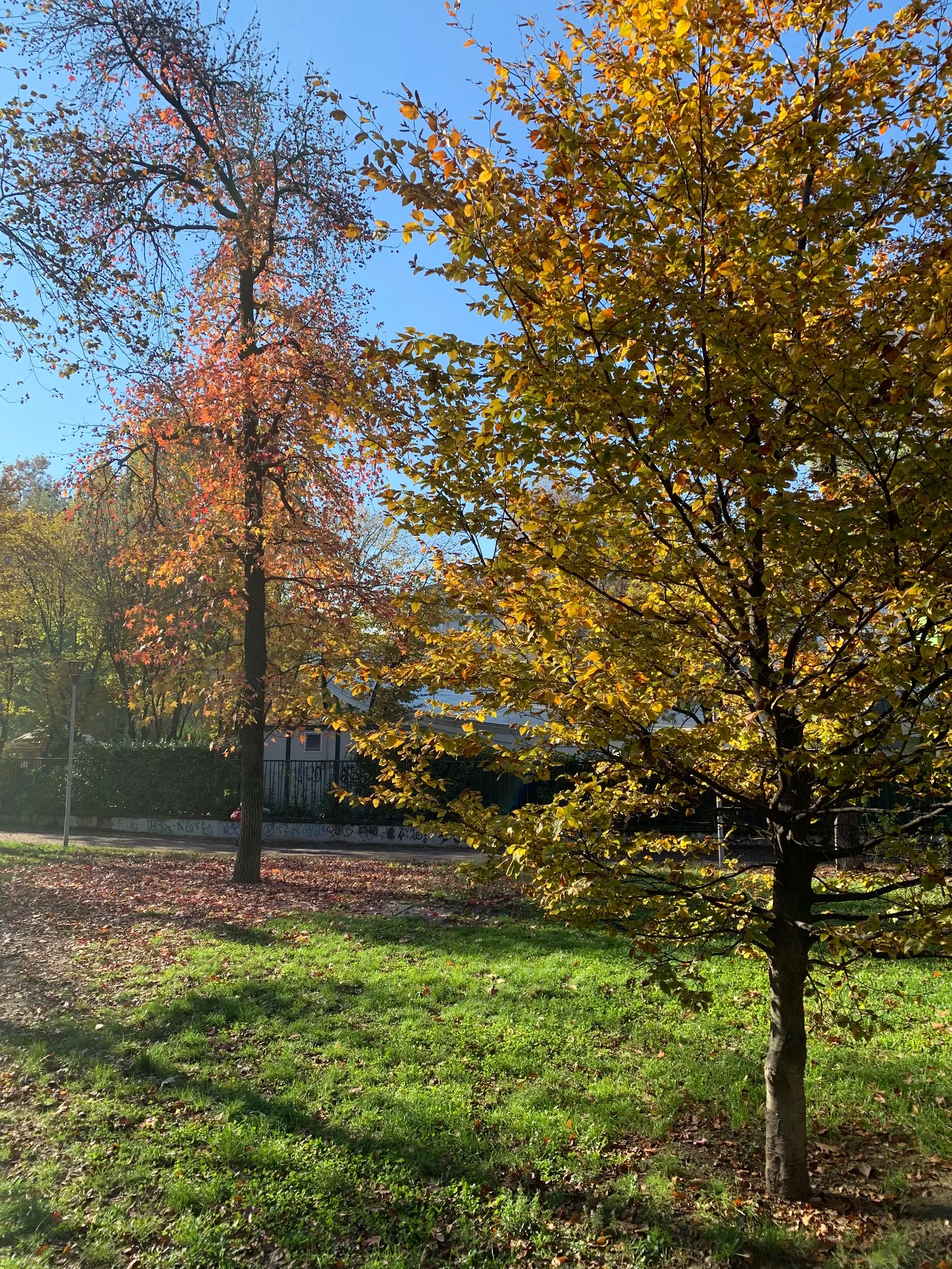 Atmosphere at Parco Don Luigi Giussani Milan — travel photo