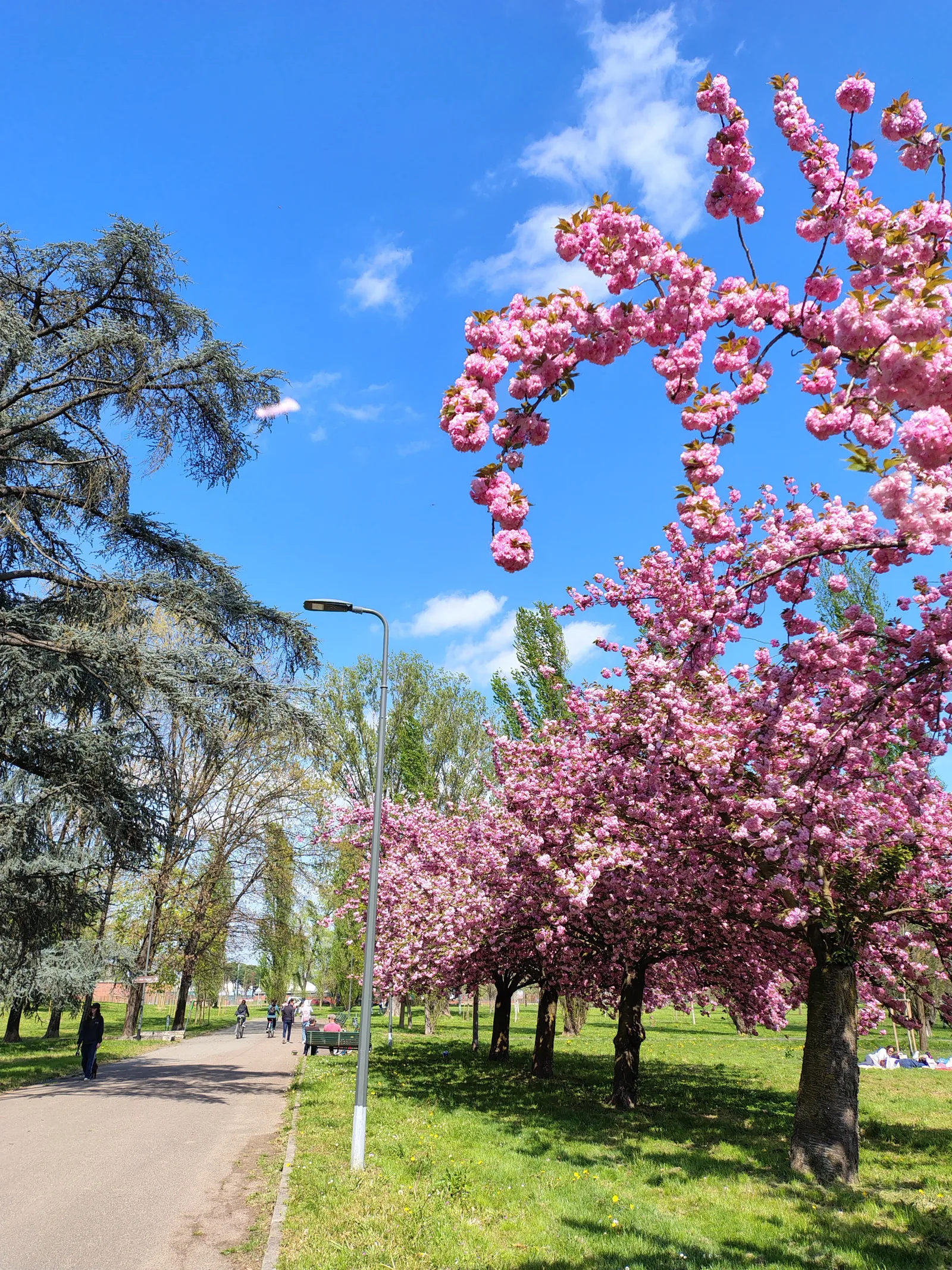 Main view at Parco Forlanini Milan — travel photo