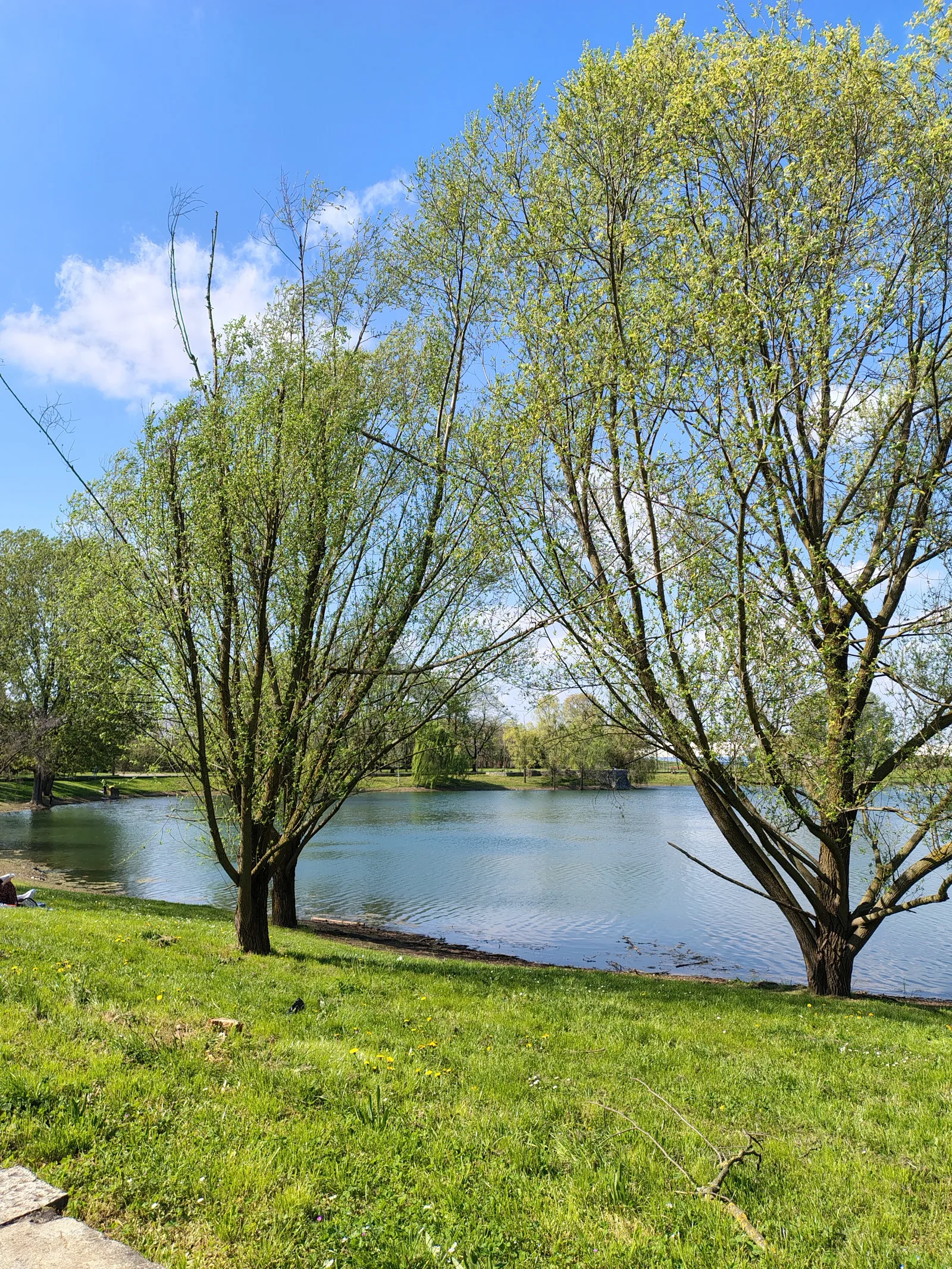 Interior at Parco Forlanini Milan — travel photo