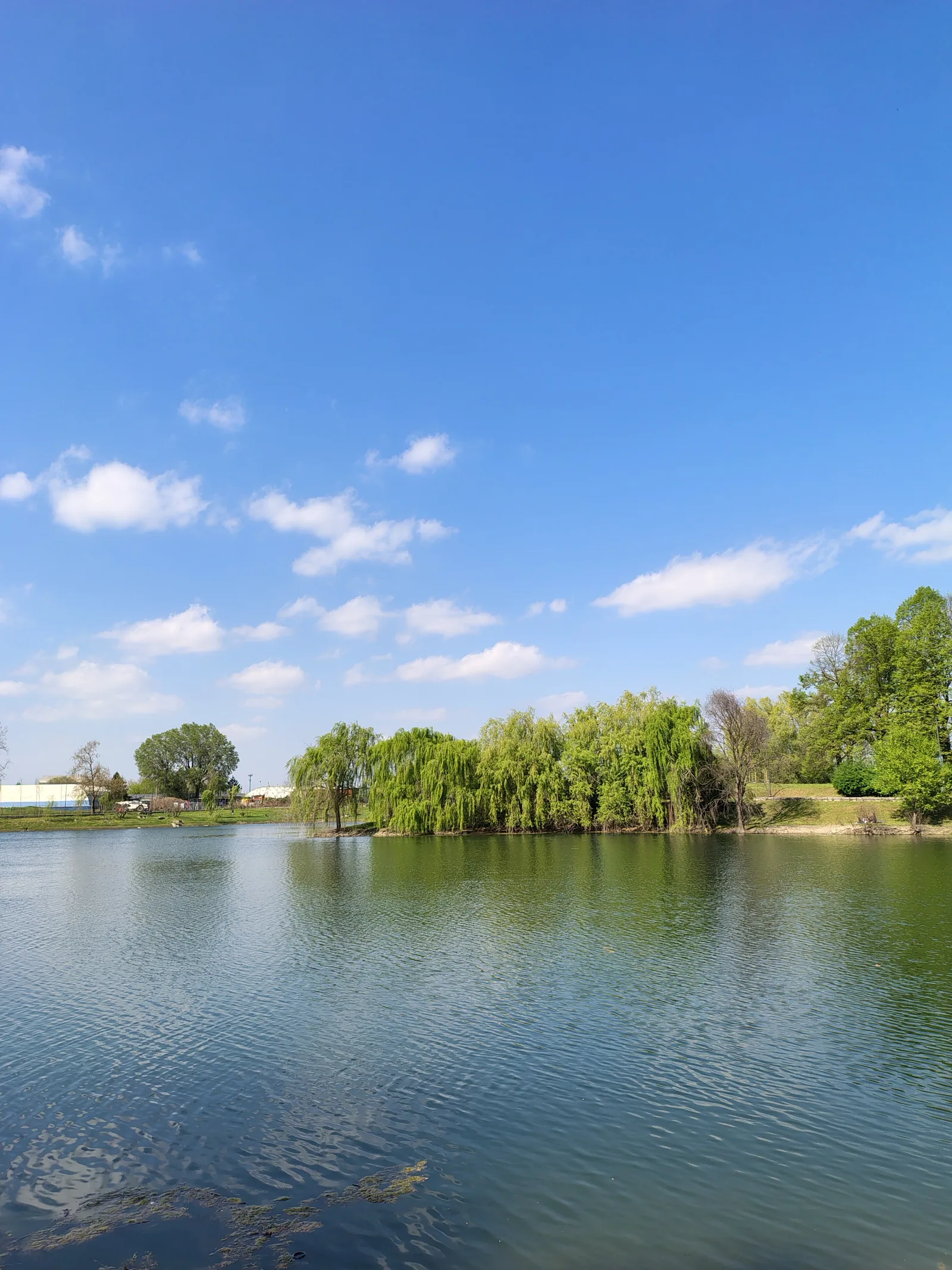 Details at Parco Forlanini Milan — travel photo