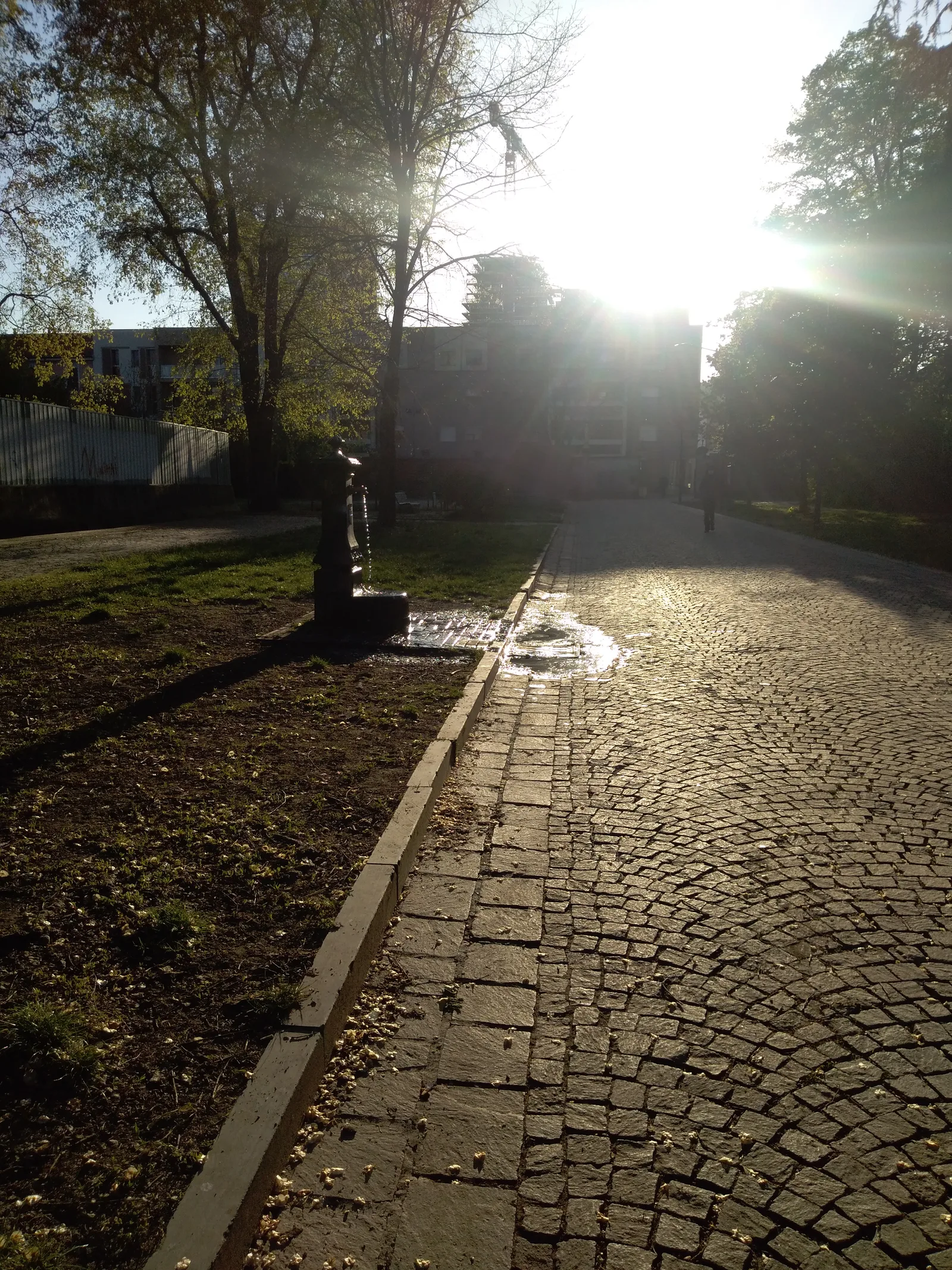 Atmosphere at Parco Nicolò Savarino Milan — travel photo