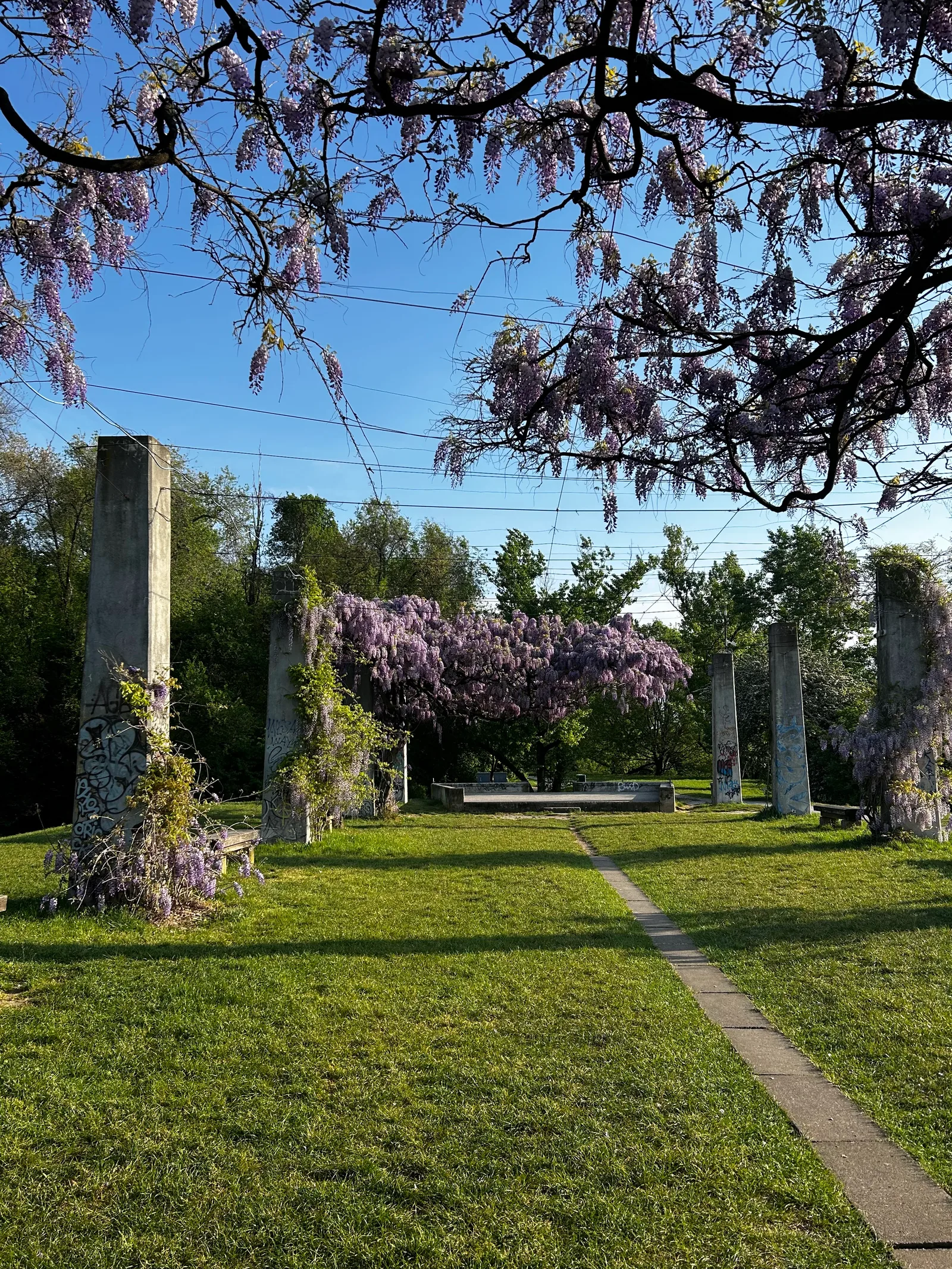 Atmosphere at Parco Nord Milano Milan — travel photo
