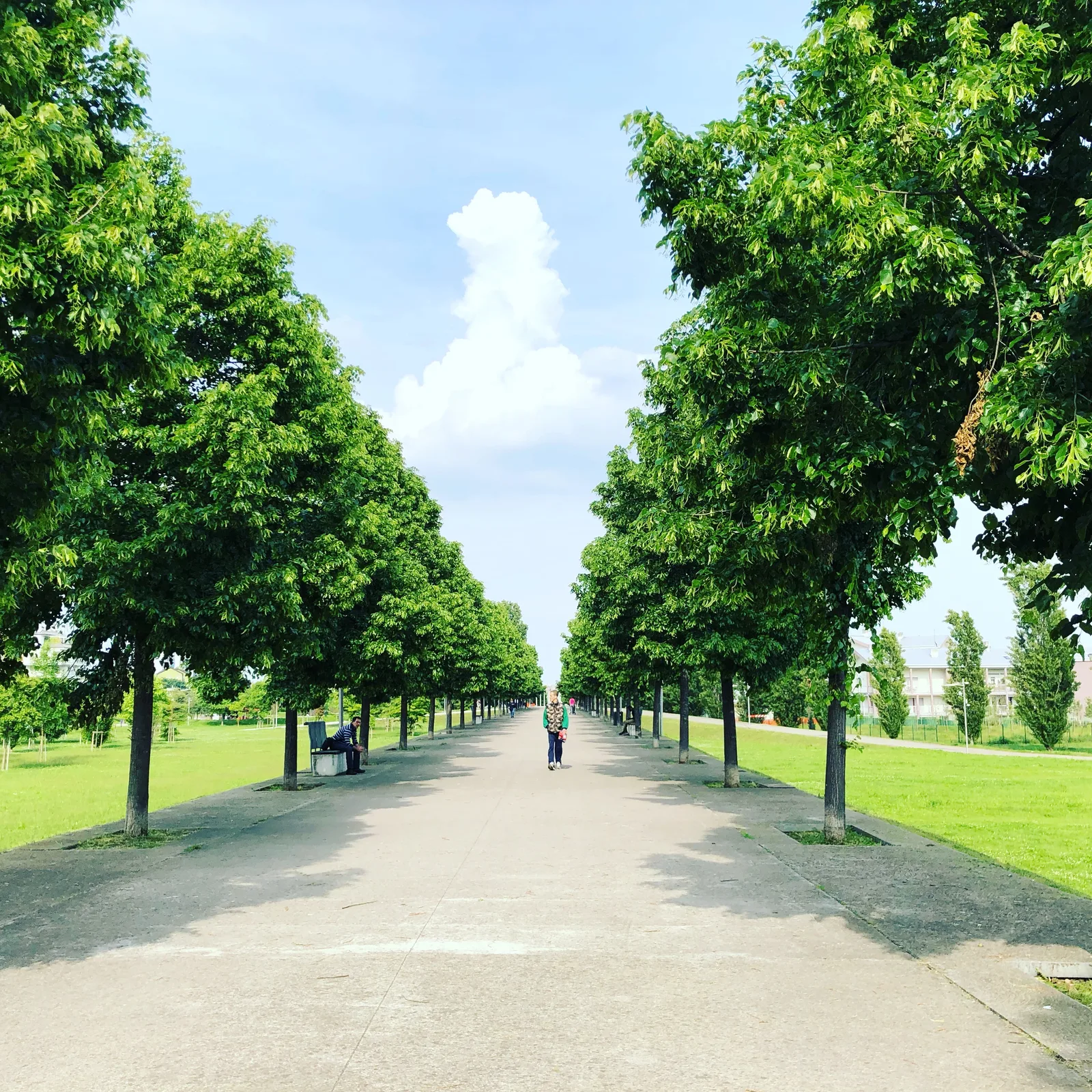 Main view at Parco Pubblico Franco Verga Milan — travel photo