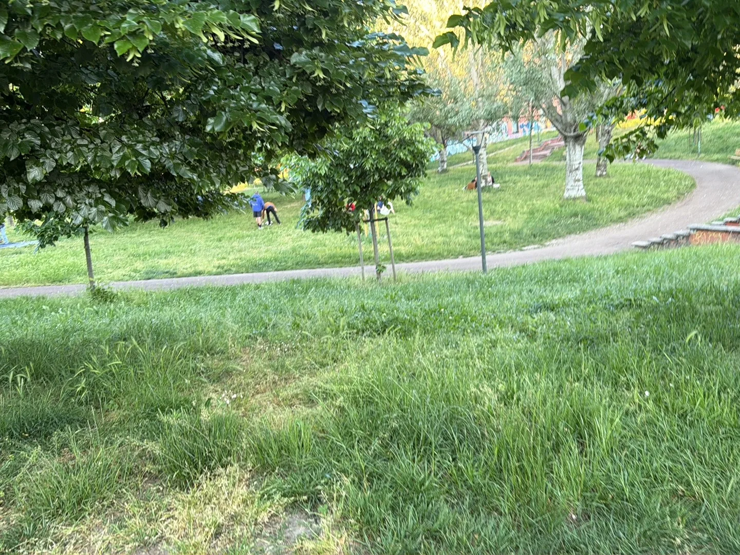 Atmosphere at Parco Segantini Milan — travel photo