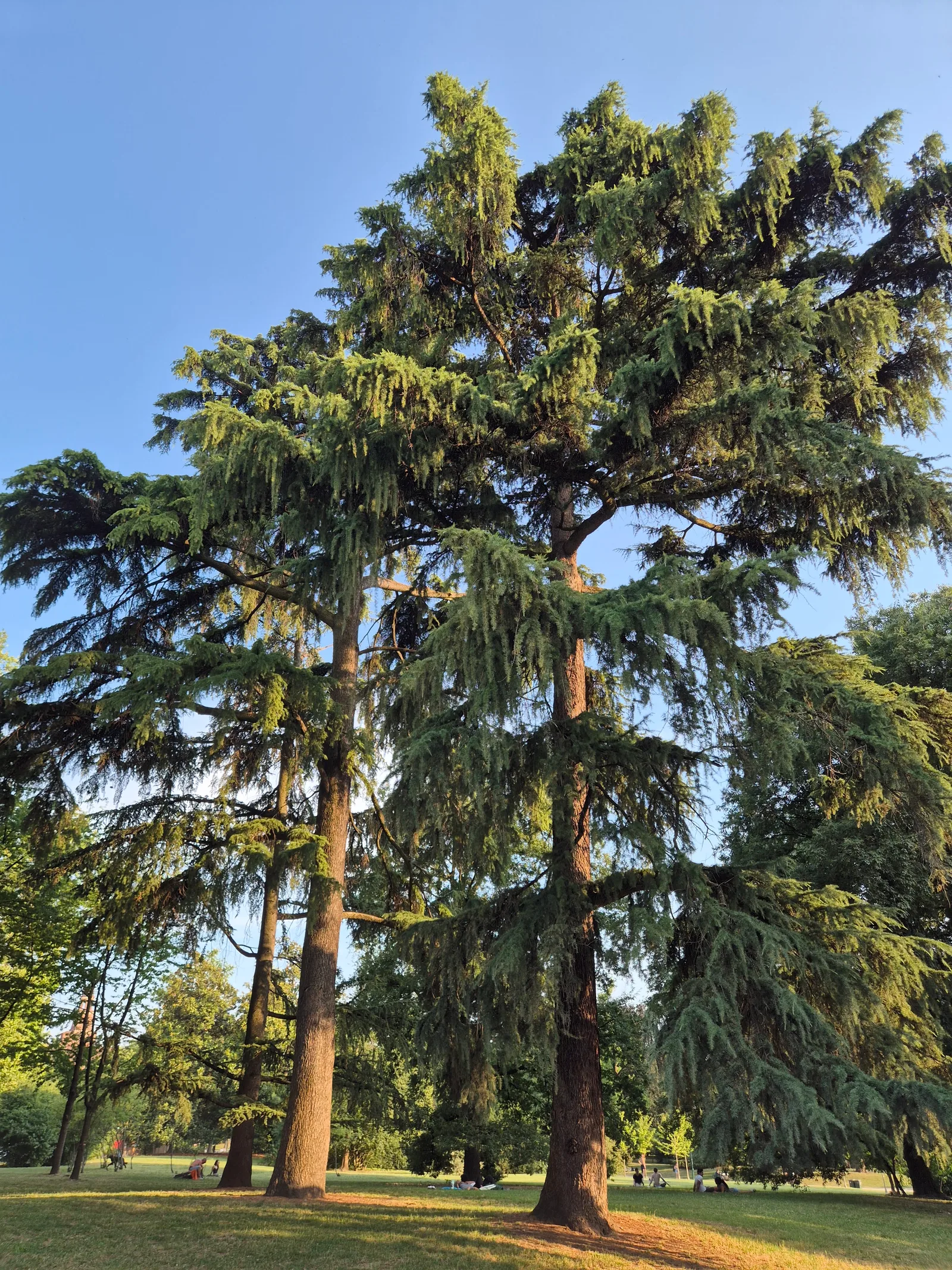 Main view at Parco Sempione Milan — travel photo