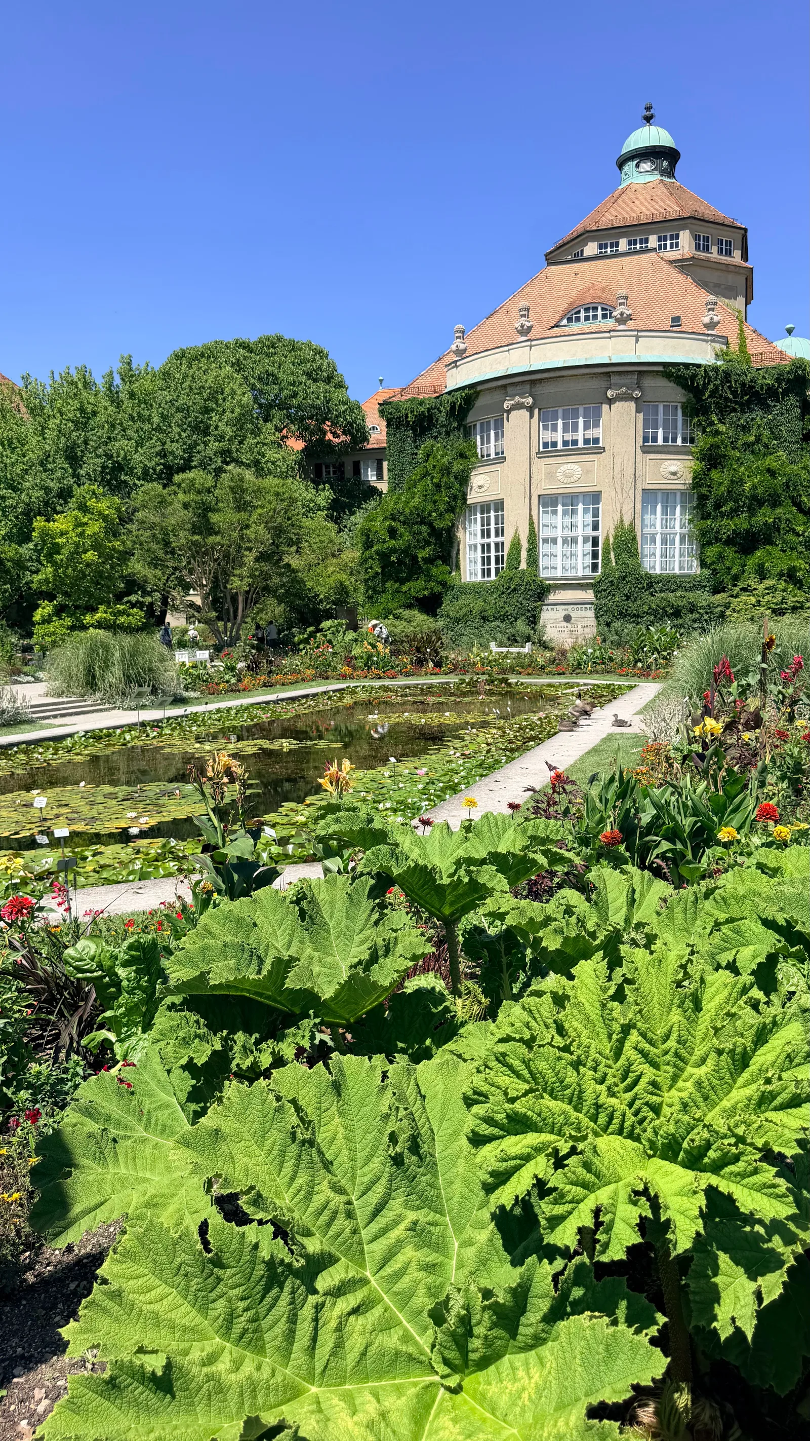 Atmosphere at Botanical Garden Munich-Nymphenburg Munich — travel photo