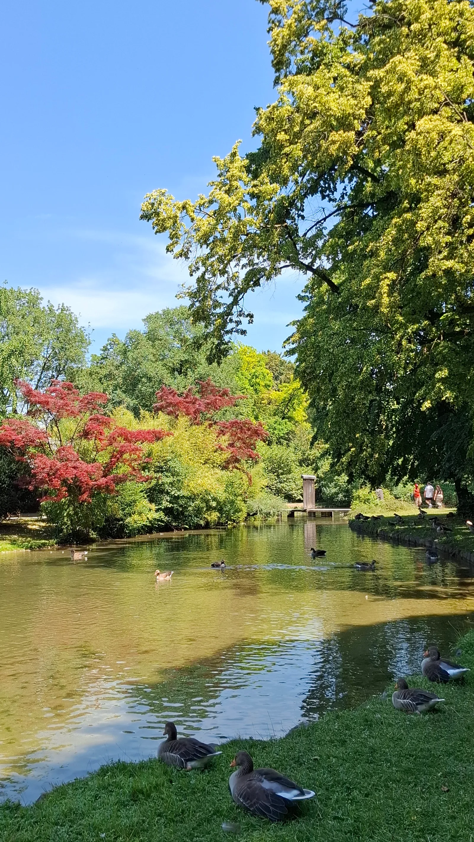 Atmosphere at Eisbachwelle Munich — travel photo