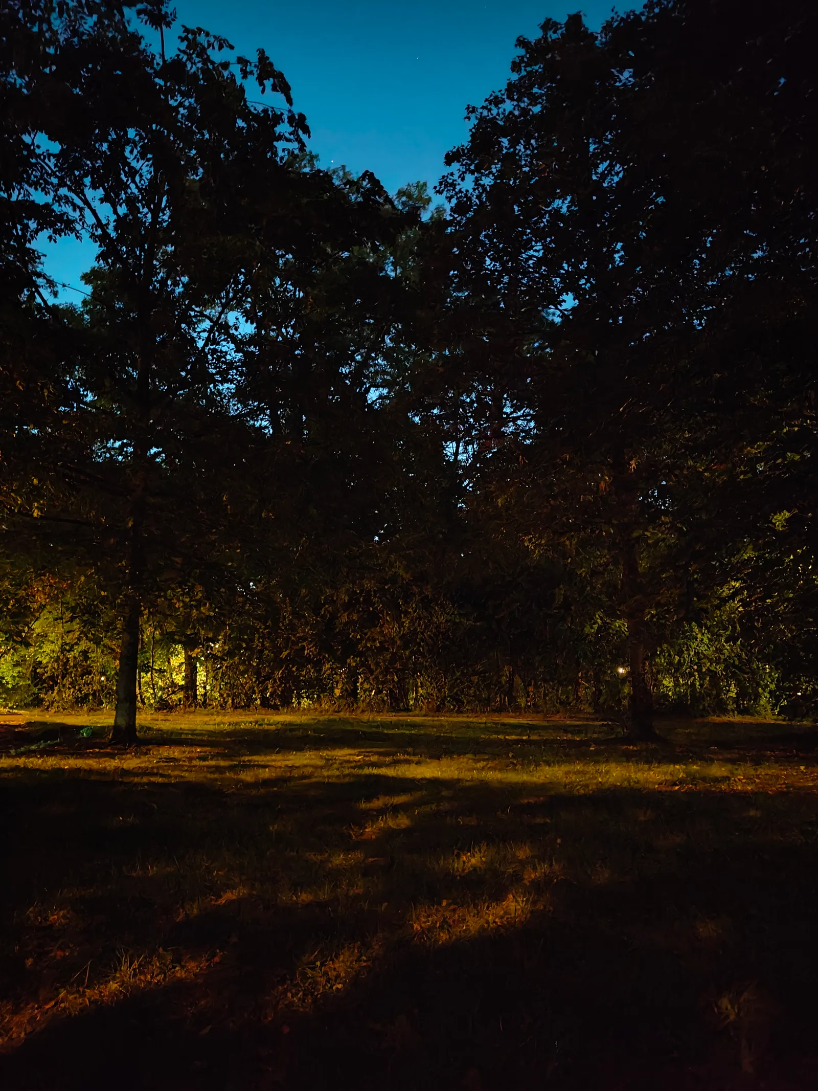 Main view at Grünwaldpark Munich — travel photo