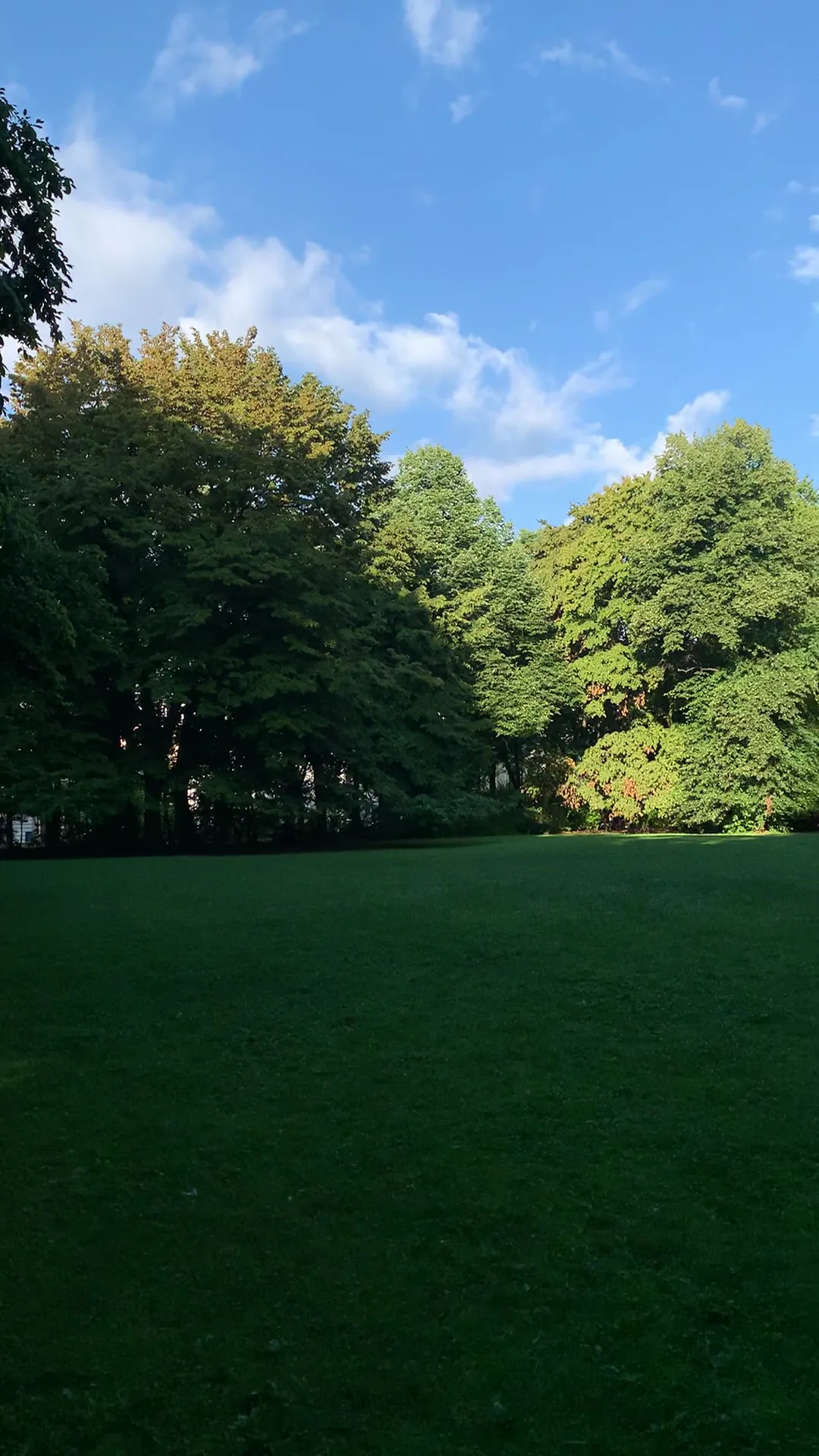 Details at Grünwaldpark Munich — travel photo