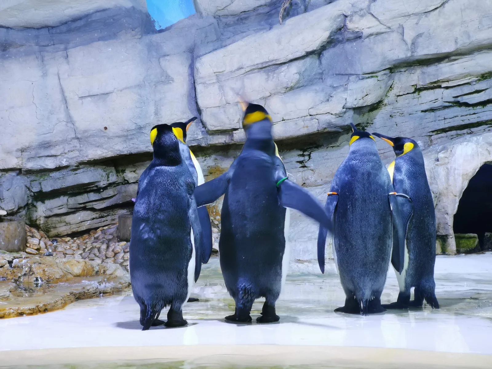 Main view at Hellabrunn Zoo Munich — travel photo
