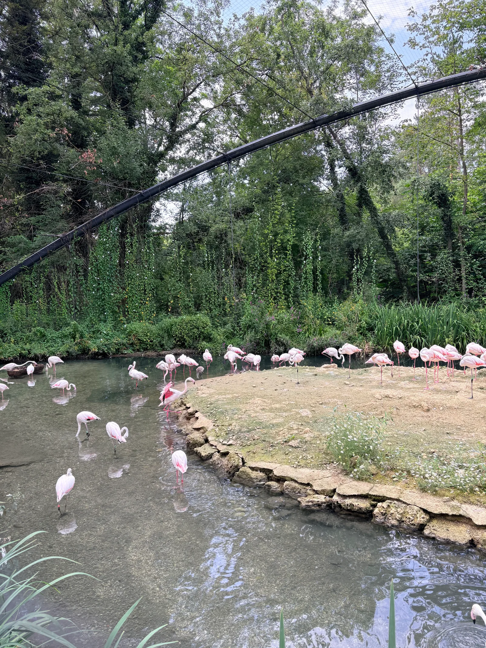 Interior at Hellabrunn Zoo Munich — travel photo