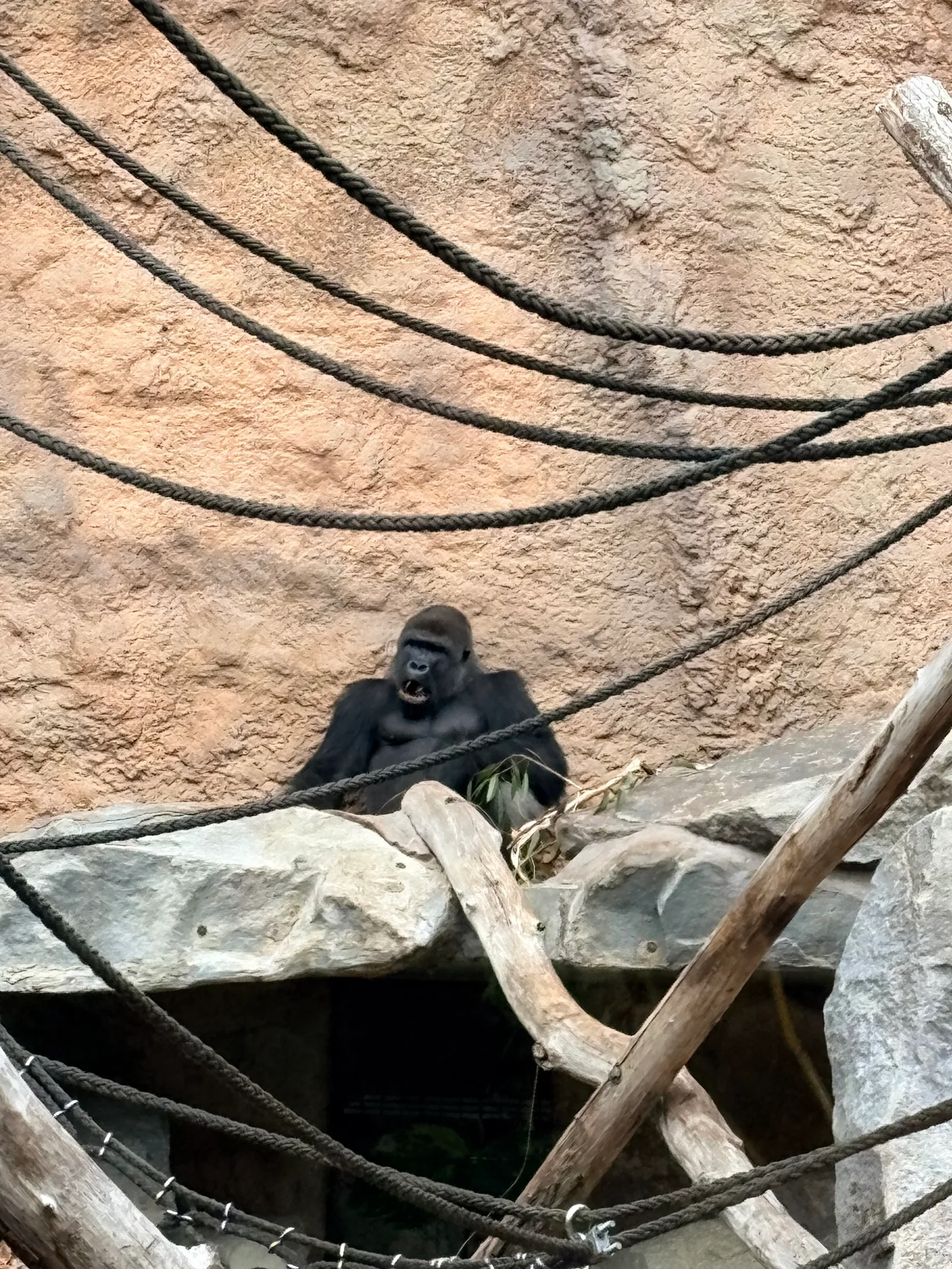 Details at Hellabrunn Zoo Munich — travel photo