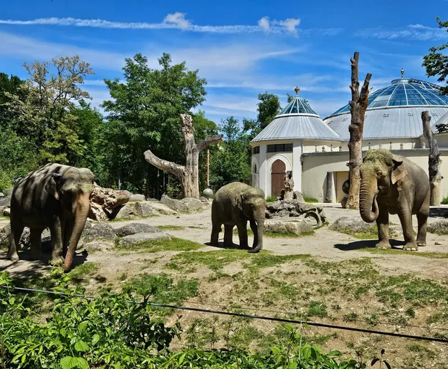 Hellabrunn Zoo in Munich