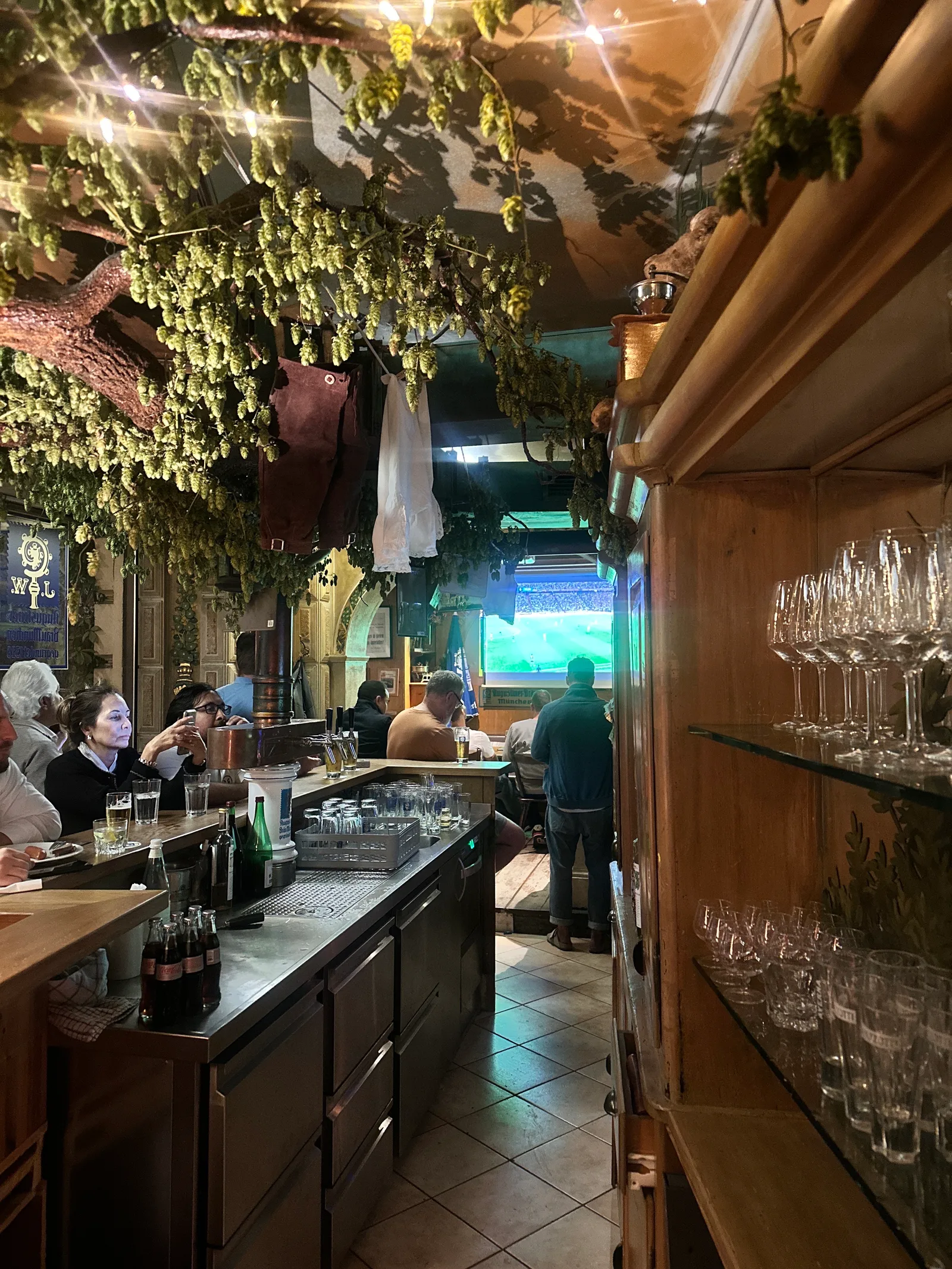 Main view at Landhaus Munich — travel photo