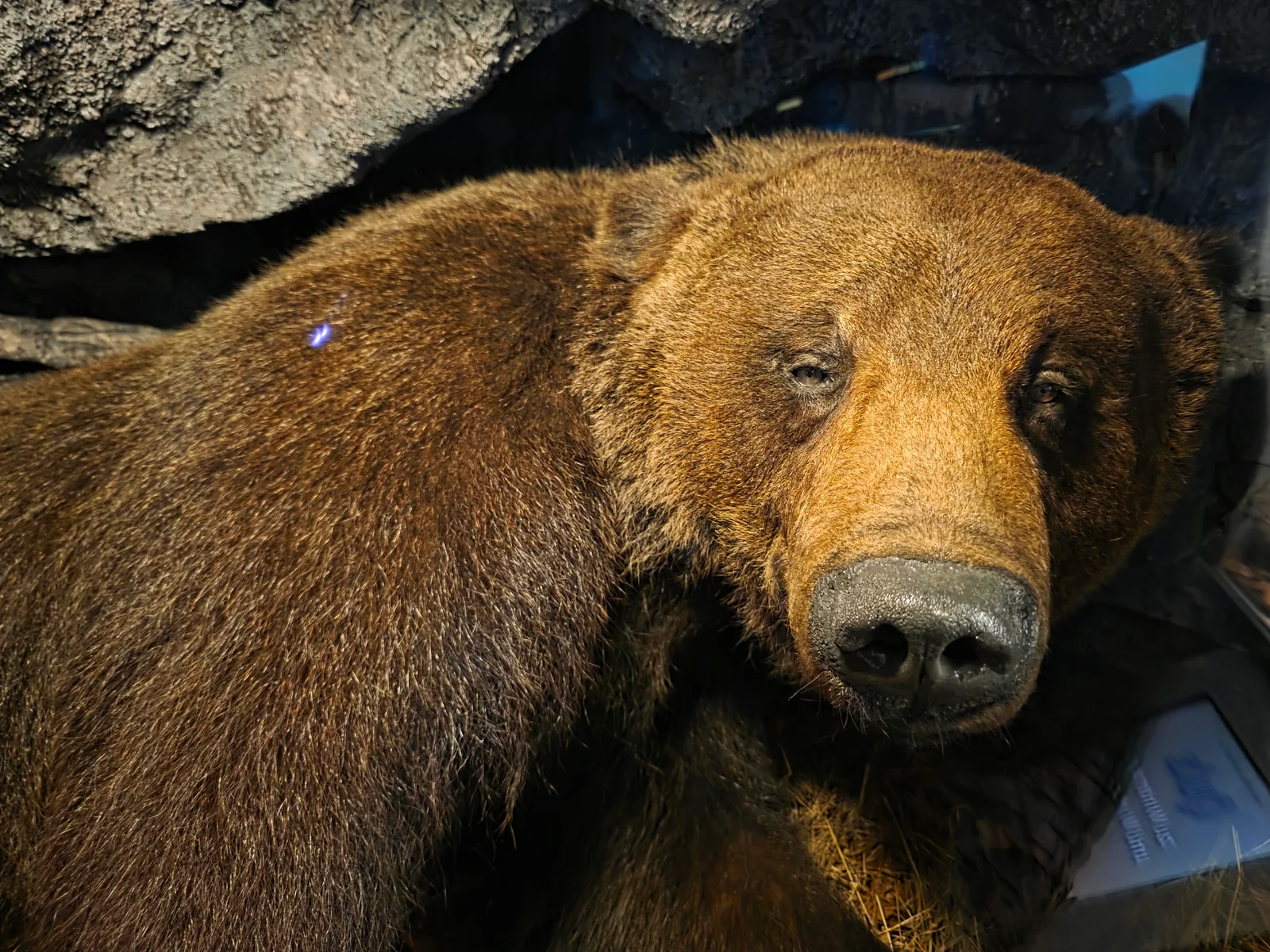 Details at Museum of Man and Nature Munich — travel photo