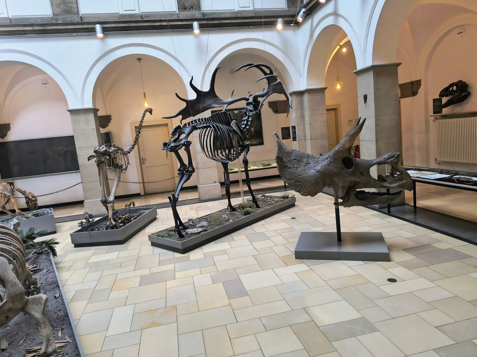 Main view at Palaeontological Museum, Munich Munich — travel photo