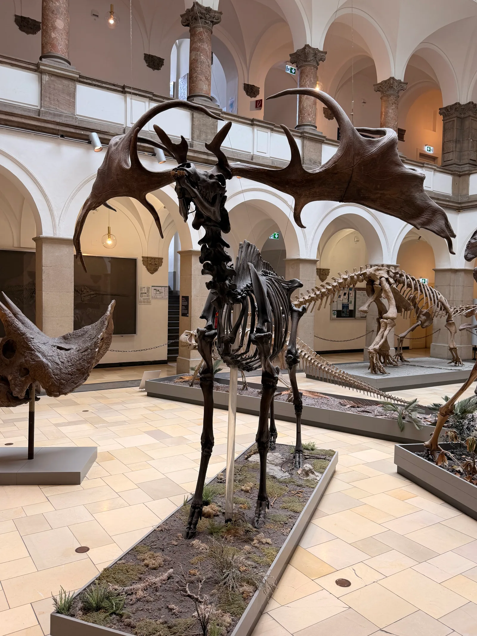 Details at Palaeontological Museum, Munich Munich — travel photo