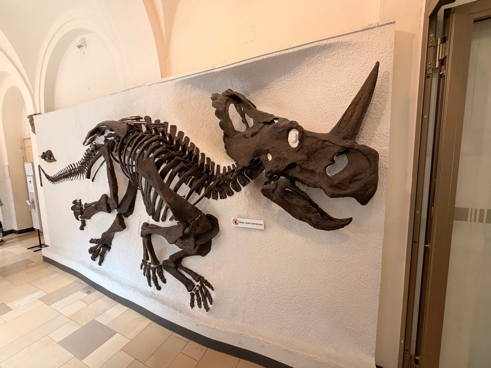 Atmosphere at Palaeontological Museum, Munich Munich — travel photo