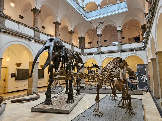 Palaeontological Museum, Munich — Museum in Munich