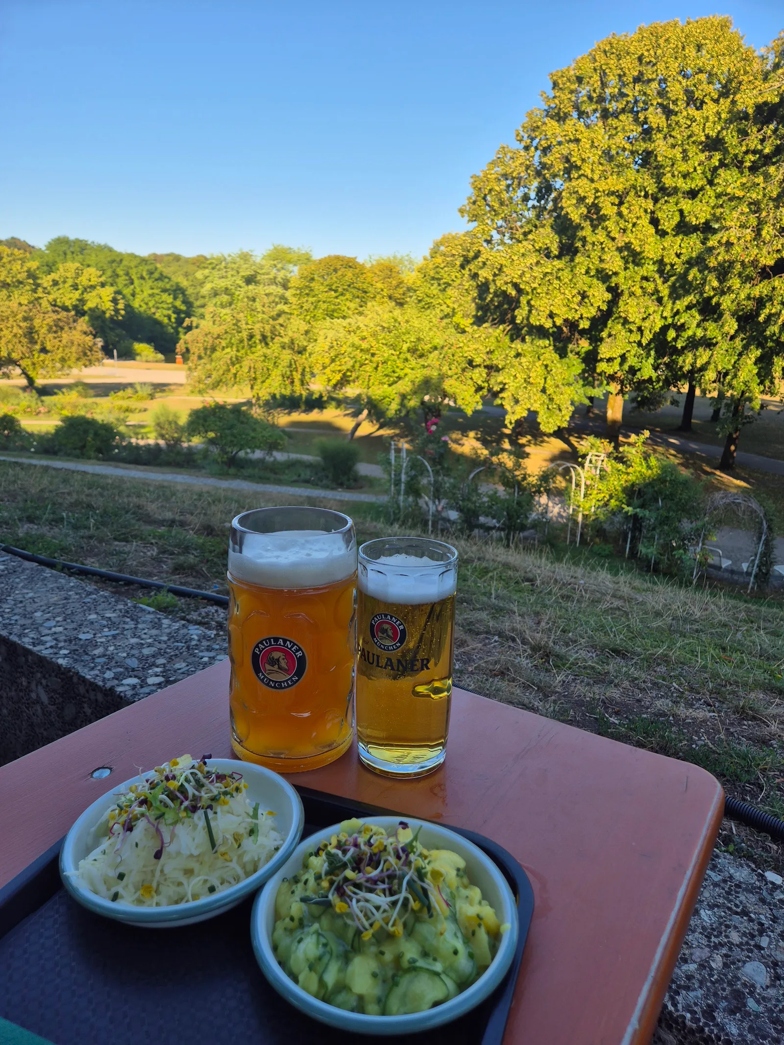 Main view at Rose garden Westpark Munich — travel photo