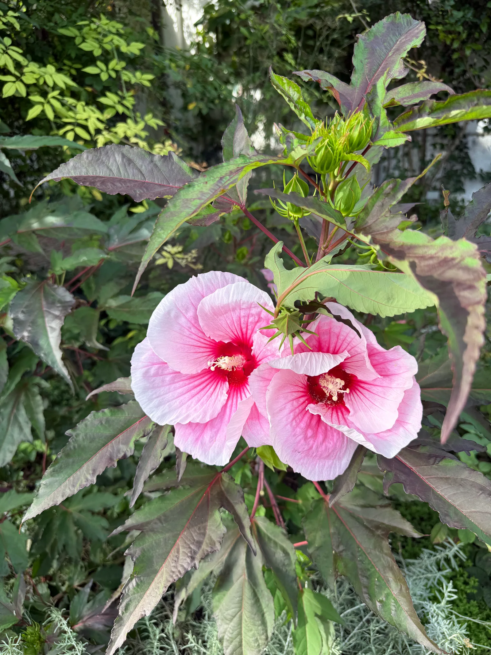 Main view at Rosengarten Munich — travel photo