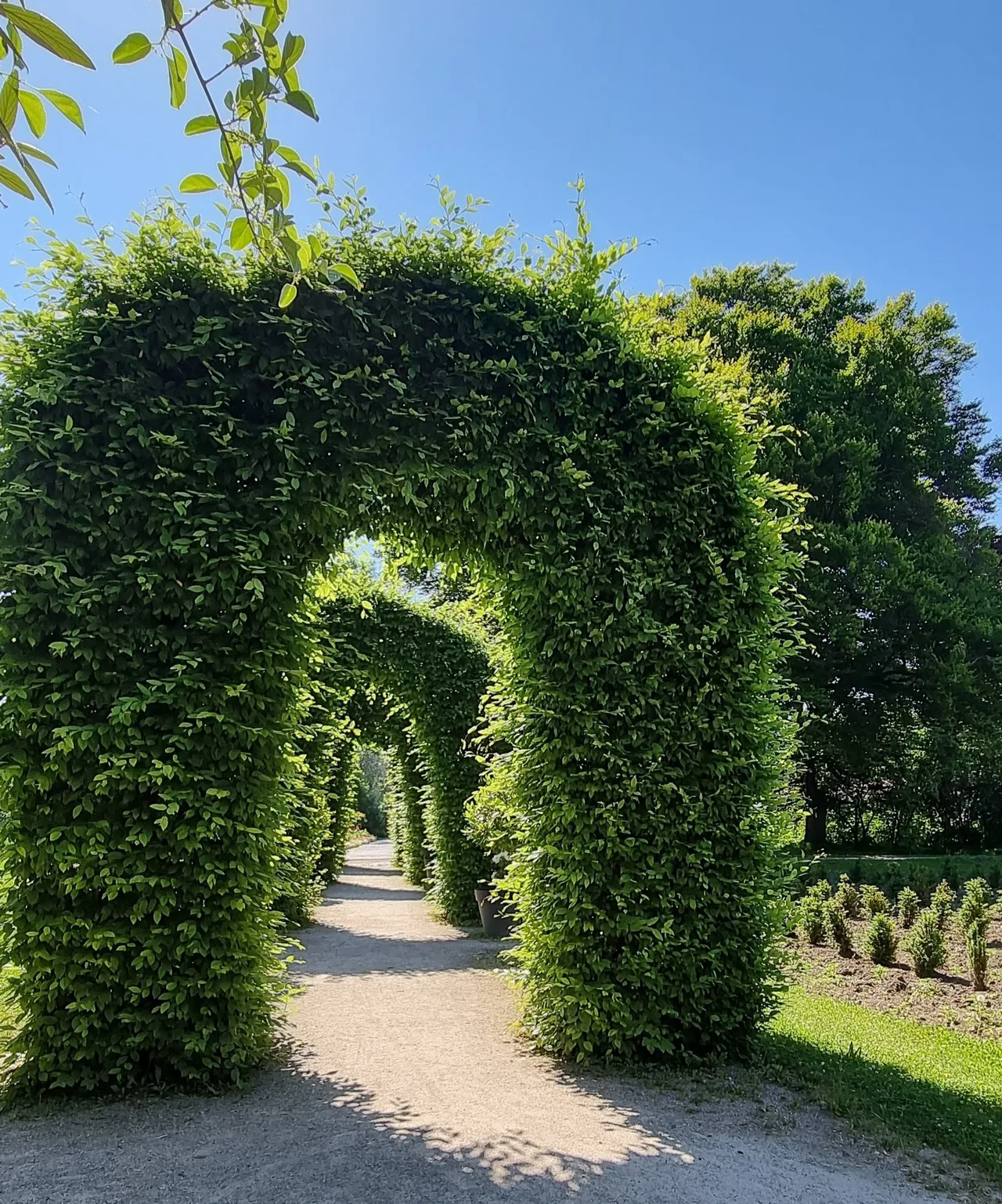 Rosengarten