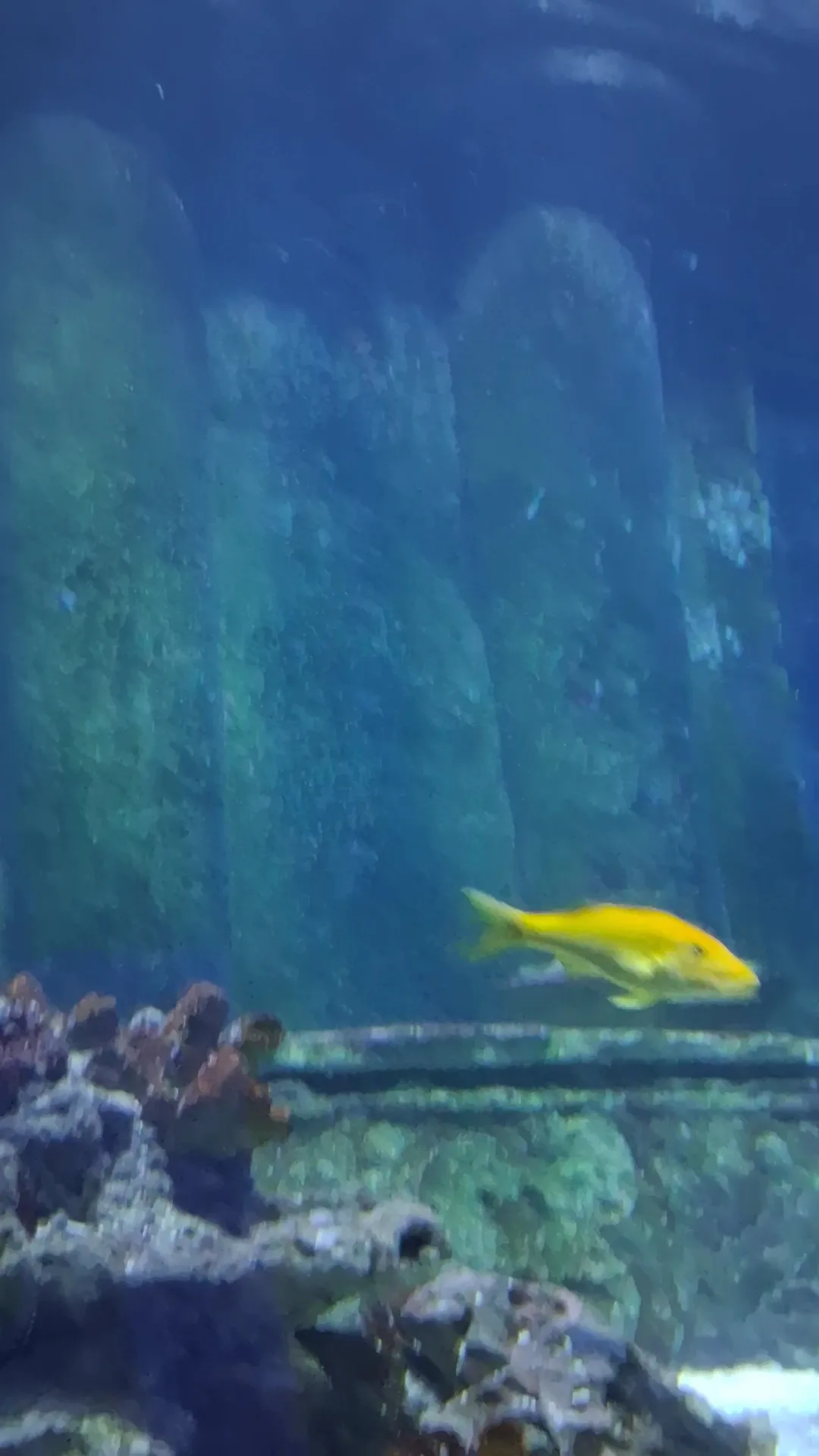 Atmosphere at Sea Life Munich Munich — travel photo