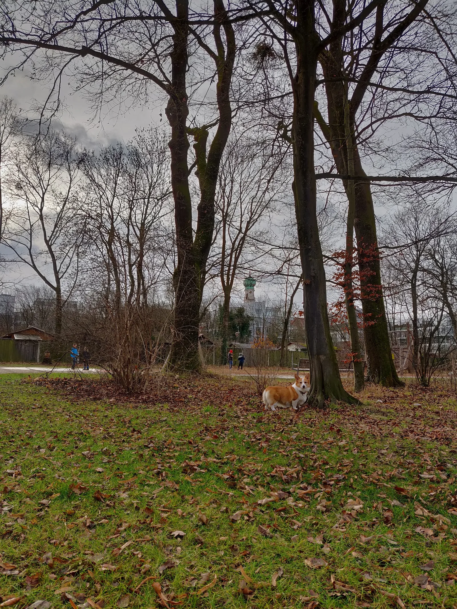 Atmosphere at Taxispark Munich — travel photo