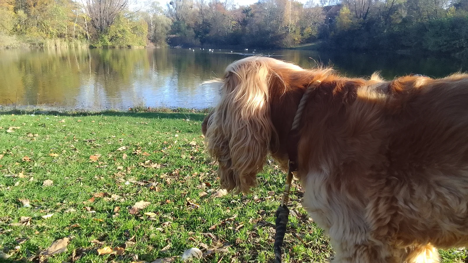 Main view at Zamila Park Munich — travel photo