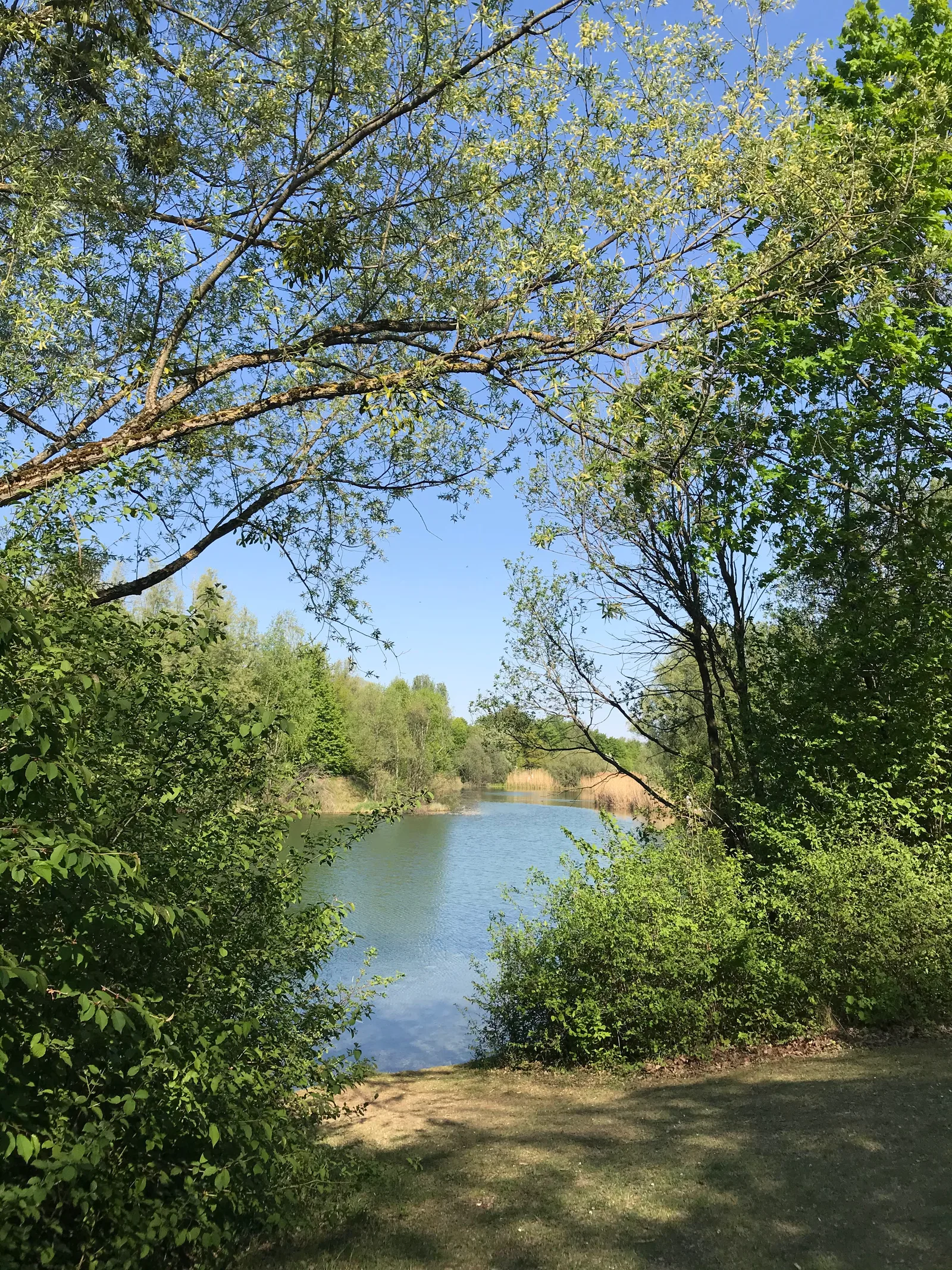 Atmosphere at Zamila Park Munich — travel photo