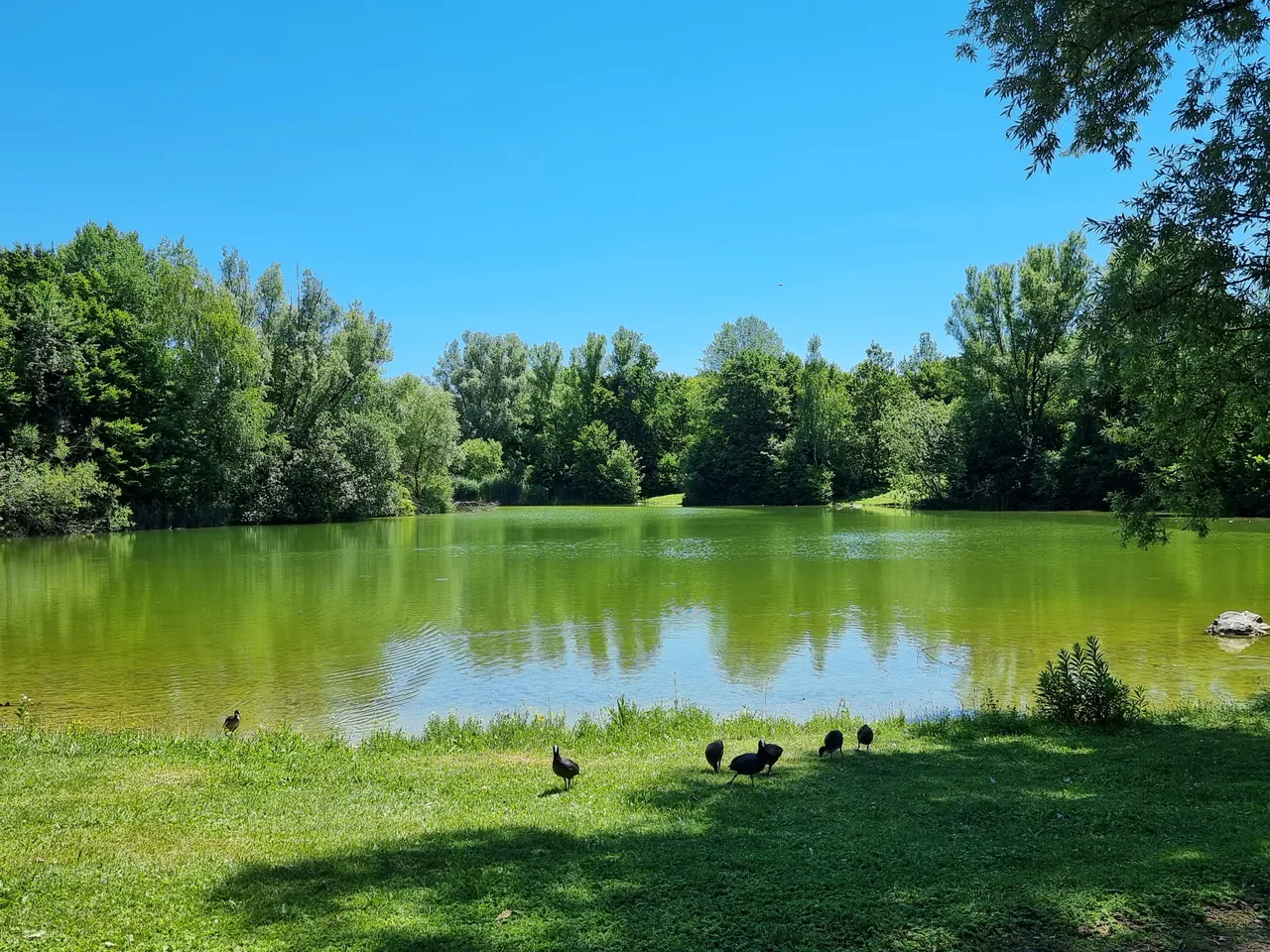 Zamila Park — romantic guide Munich