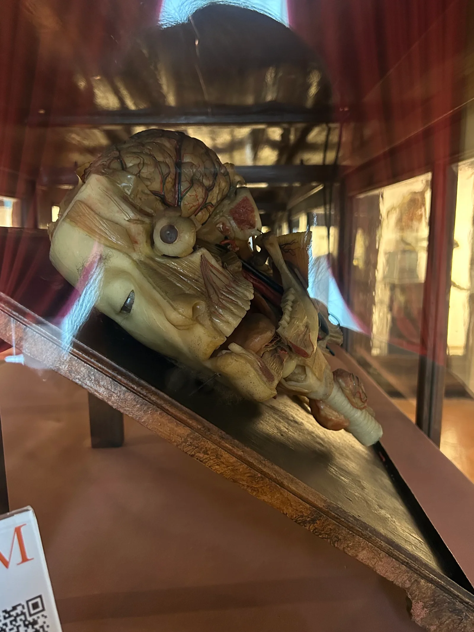 Atmosphere at MUSA - Museo Universitario delle Scienze e delle Arti Naples — travel photo