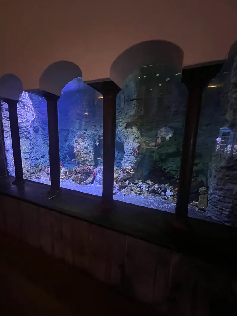 Naples Aquarium