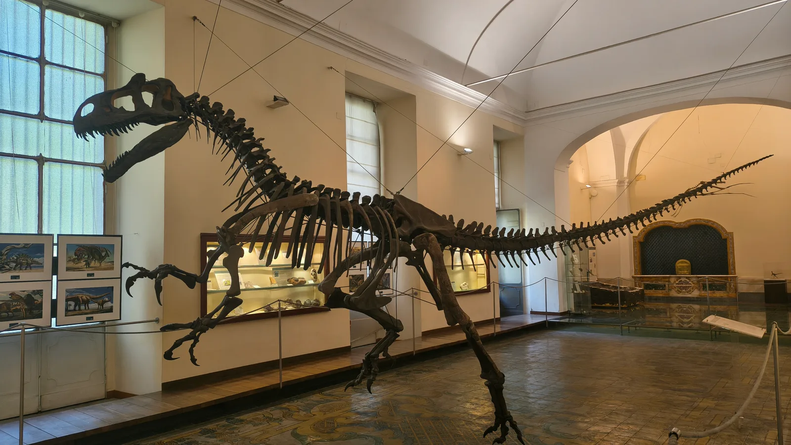 Main view at Paleontological Museum Naples — travel photo