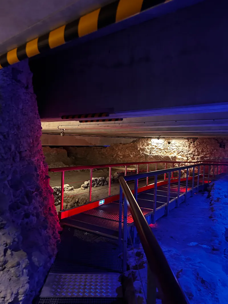 Crypte de Nice — history museum in Nice