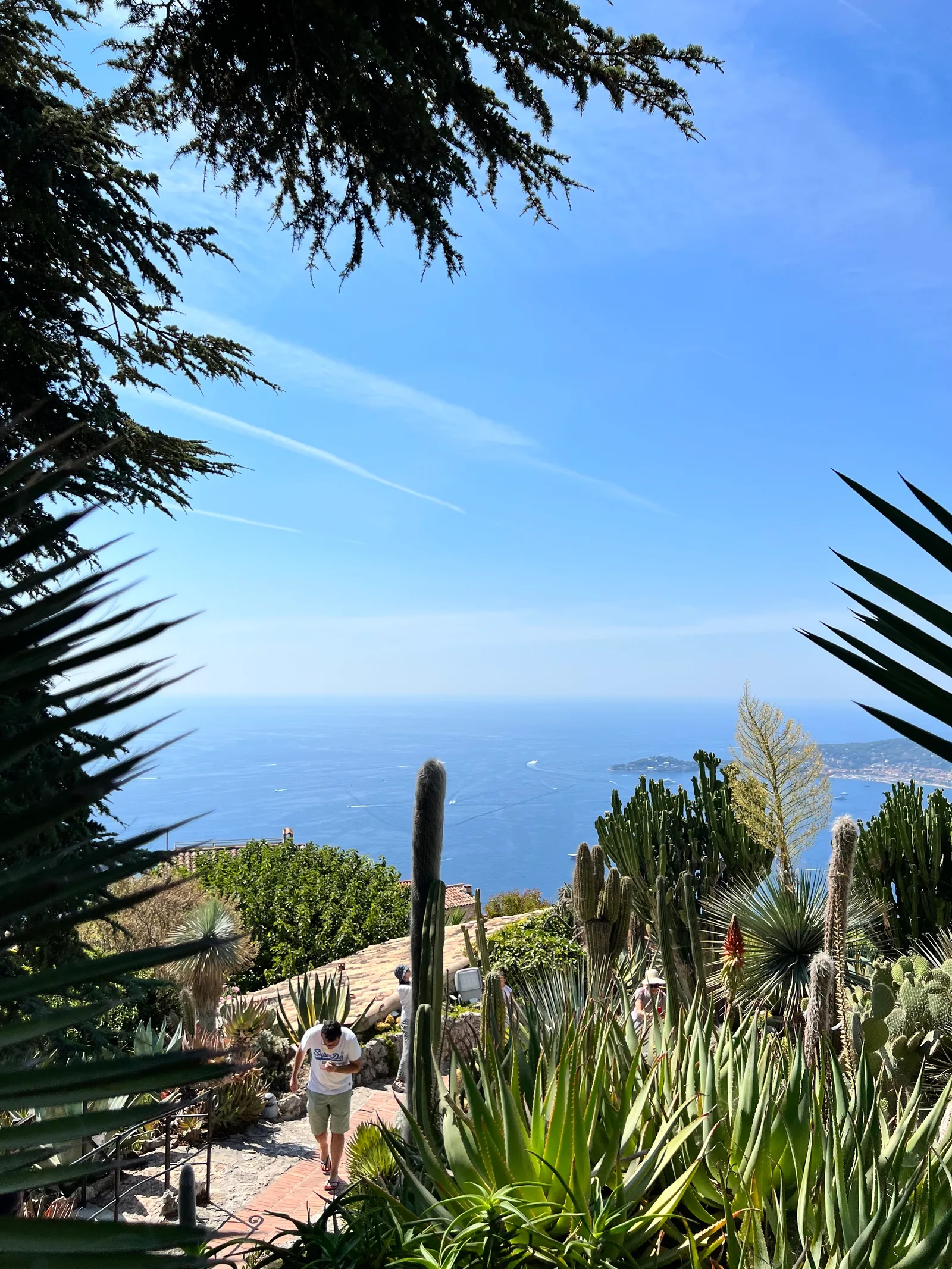 Atmosphere at Jardin botanique de Nice Nice — travel photo