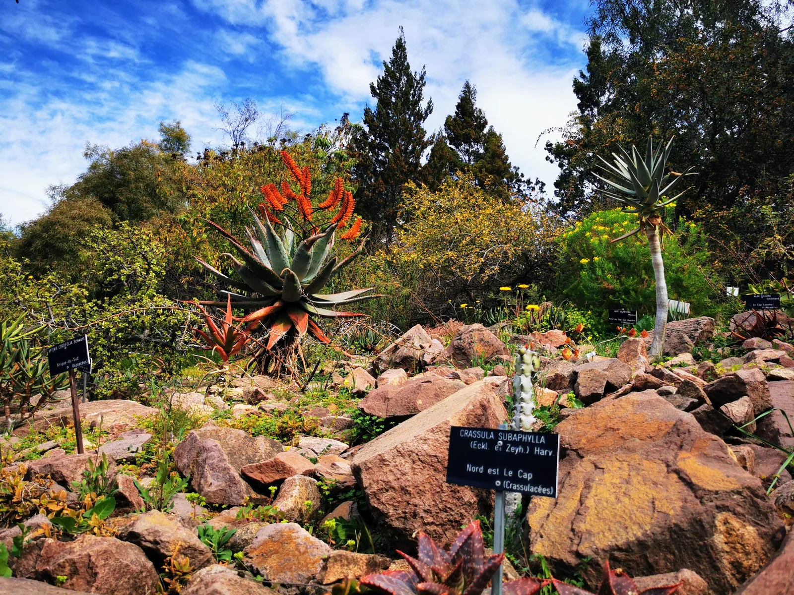 Jardin botanique de Nice