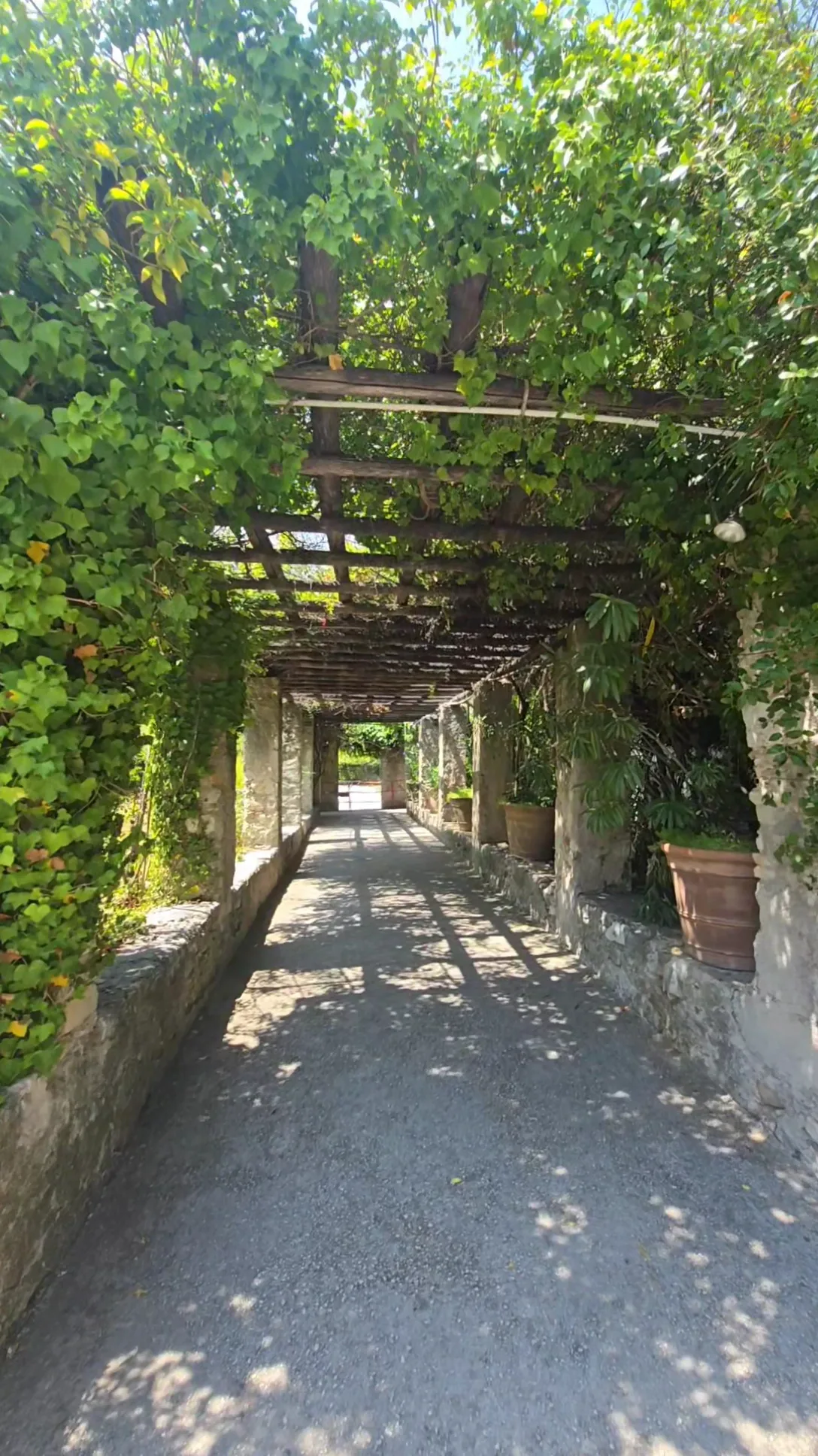 Main view at Jardin des Arènes de Cimiez Nice — travel photo