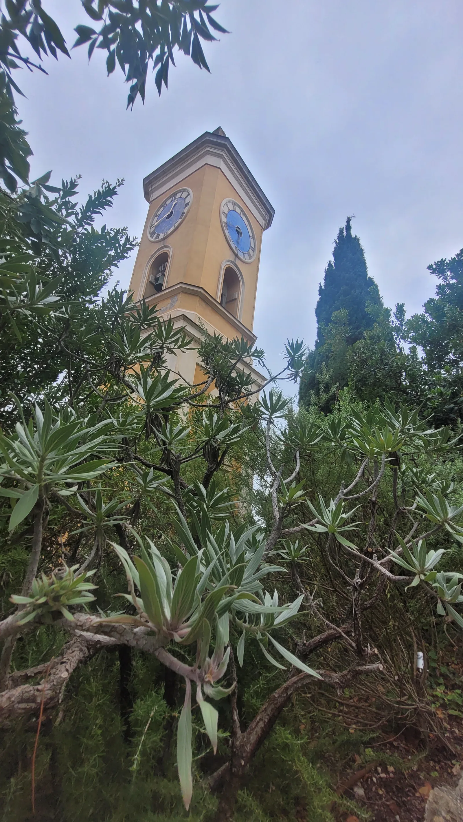 Main view at Jardin Exotique d’Èze Nice — travel photo
