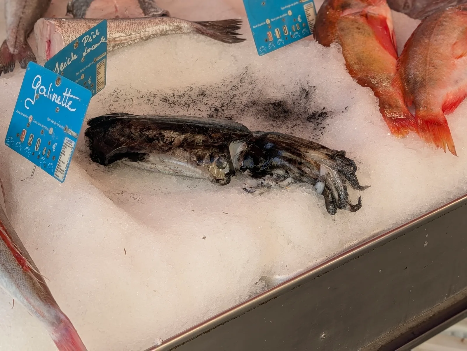 Details at Marché de la Libération - Nice Nice — travel photo