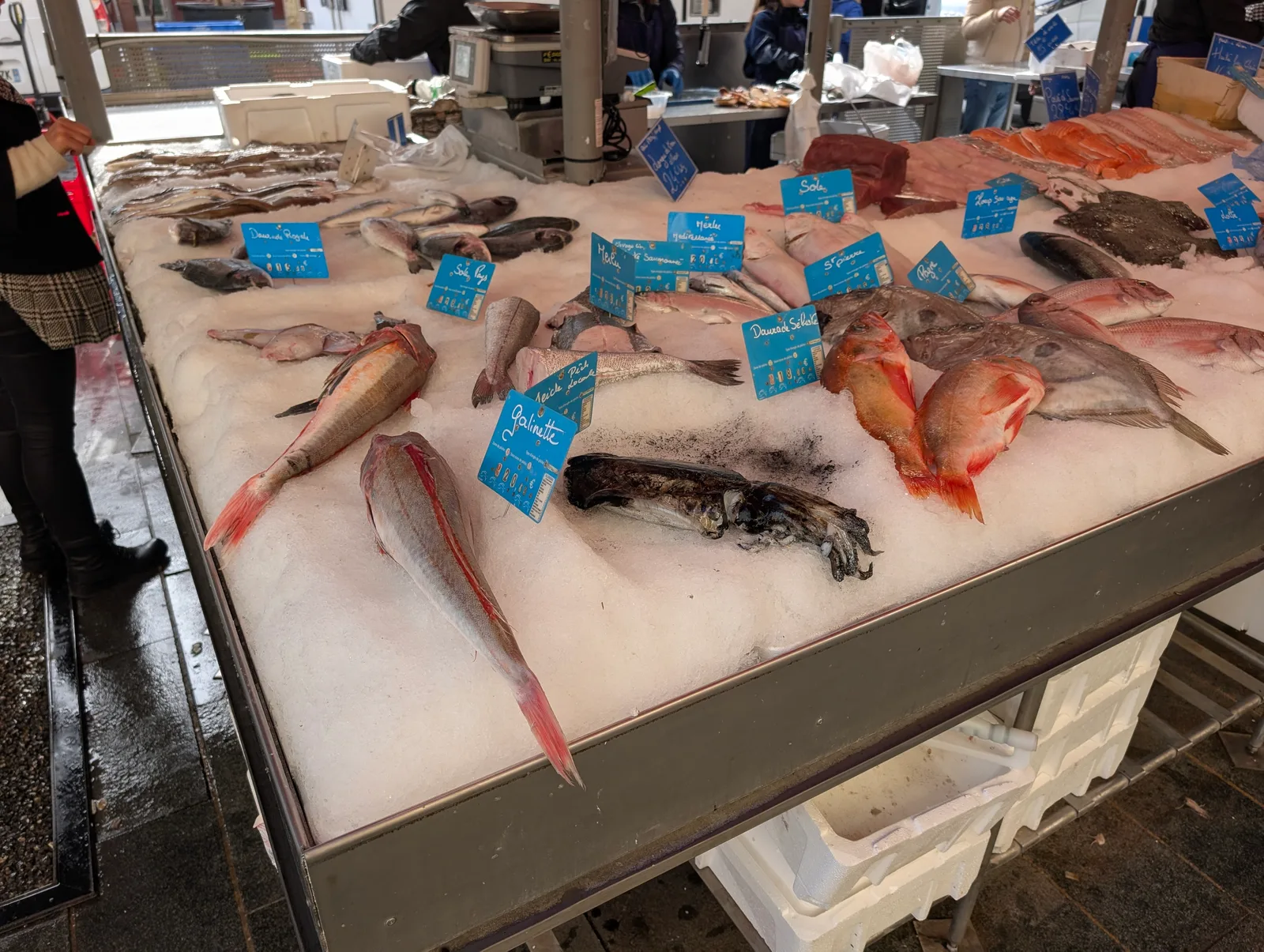 Atmosphere at Marché de la Libération - Nice Nice — travel photo
