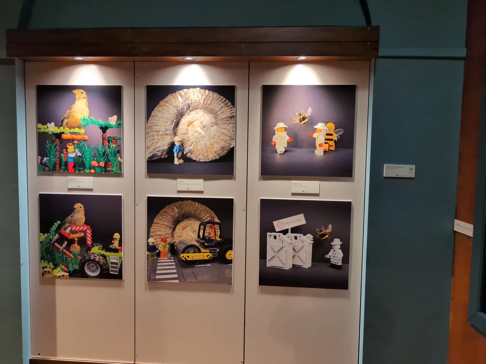 Interior at Natural History Museum of Nice Nice — travel photo