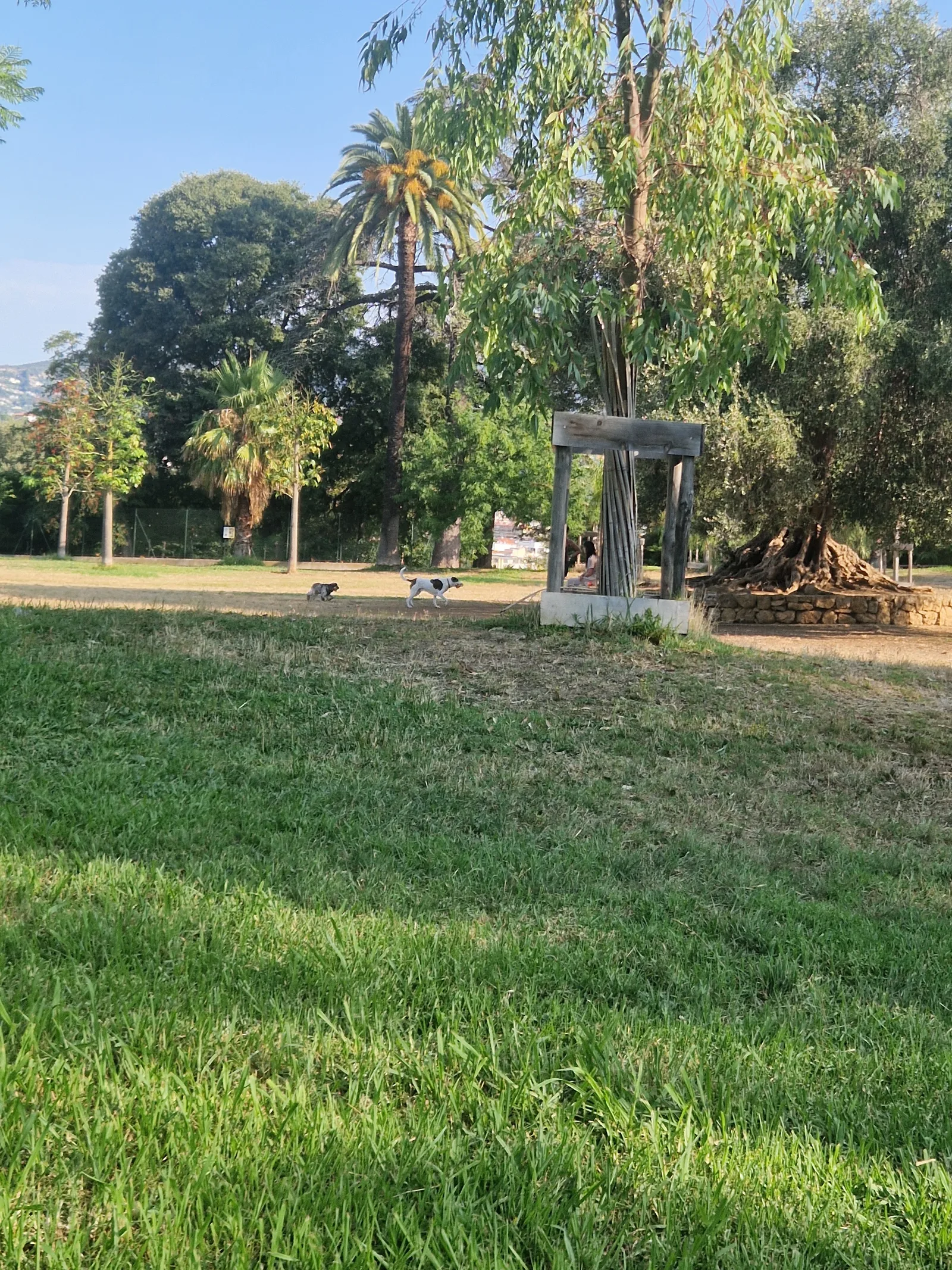 Main view at Parc Castel des Deux Rois Nice — travel photo