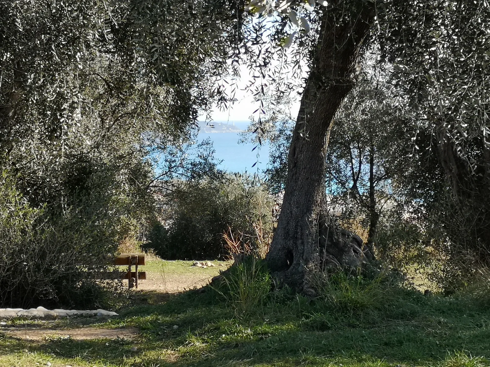 Main view at Parc Honoré d'Estienne d'Orves Nice — travel photo