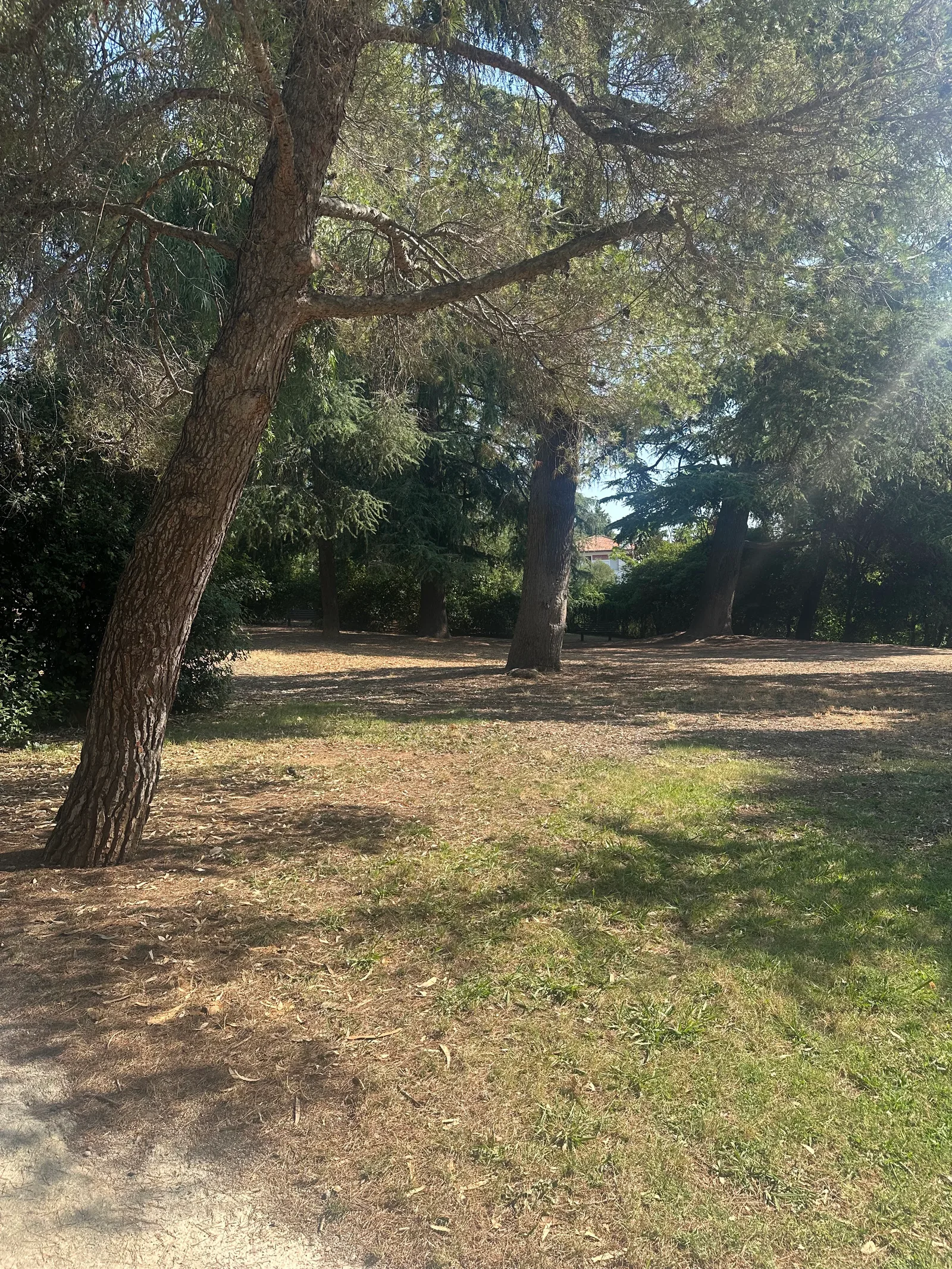 Details at Parc Municipal Carol de Roumanie Nice — travel photo