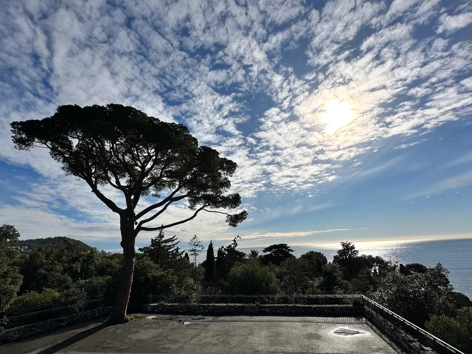 Details at Viewpoint Nice — travel photo