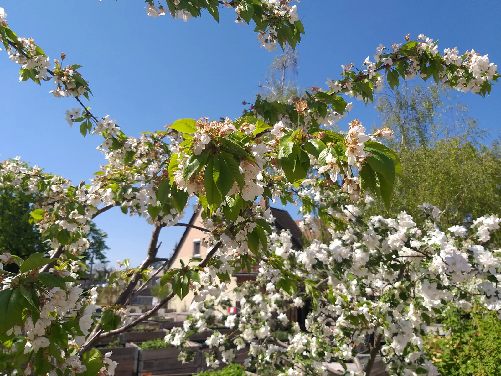 Details at City Garden Nuremberg Nuremberg — travel photo