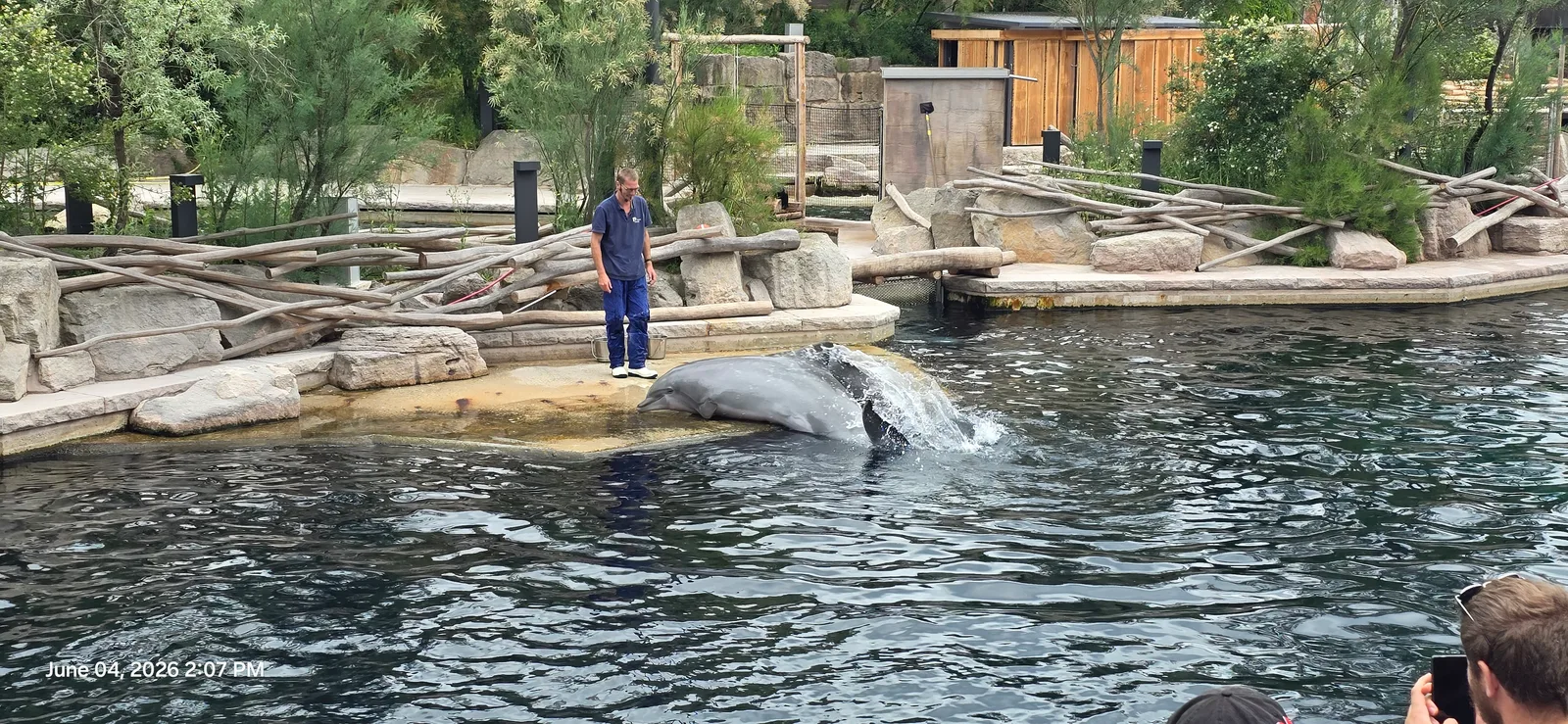 Main view at Dolphinarium in the zoo of Nuremberg Nuremberg — travel photo
